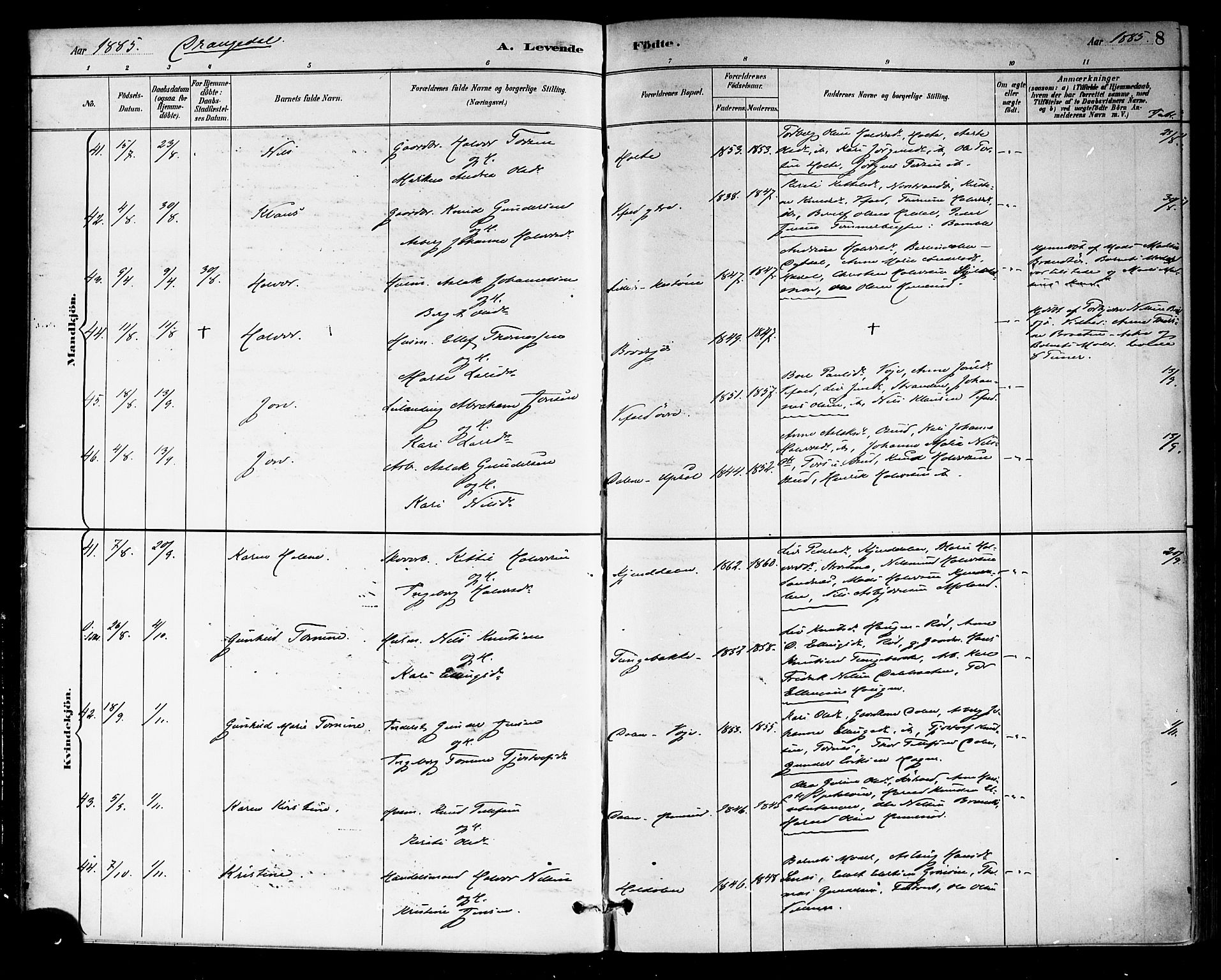 Drangedal kirkebøker, AV/SAKO-A-258/F/Fa/L0010: Ministerialbok nr. 10 /1, 1885-1894, s. 8