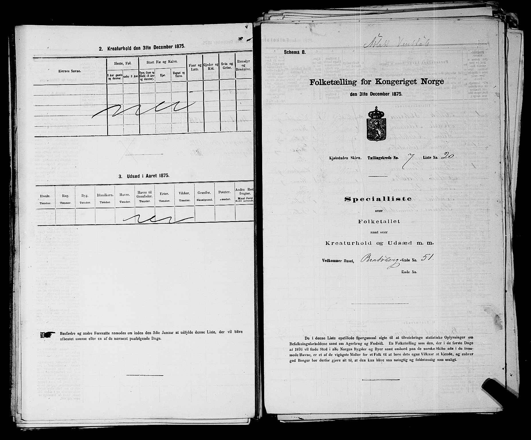 SAKO, Folketelling 1875 for 0806P Skien prestegjeld, 1875, s. 1081