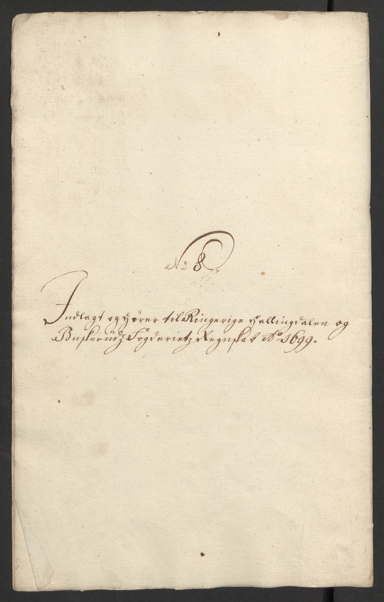 Rentekammeret inntil 1814, Reviderte regnskaper, Fogderegnskap, RA/EA-4092/R22/L1456: Fogderegnskap Ringerike, Hallingdal og Buskerud, 1699, s. 342