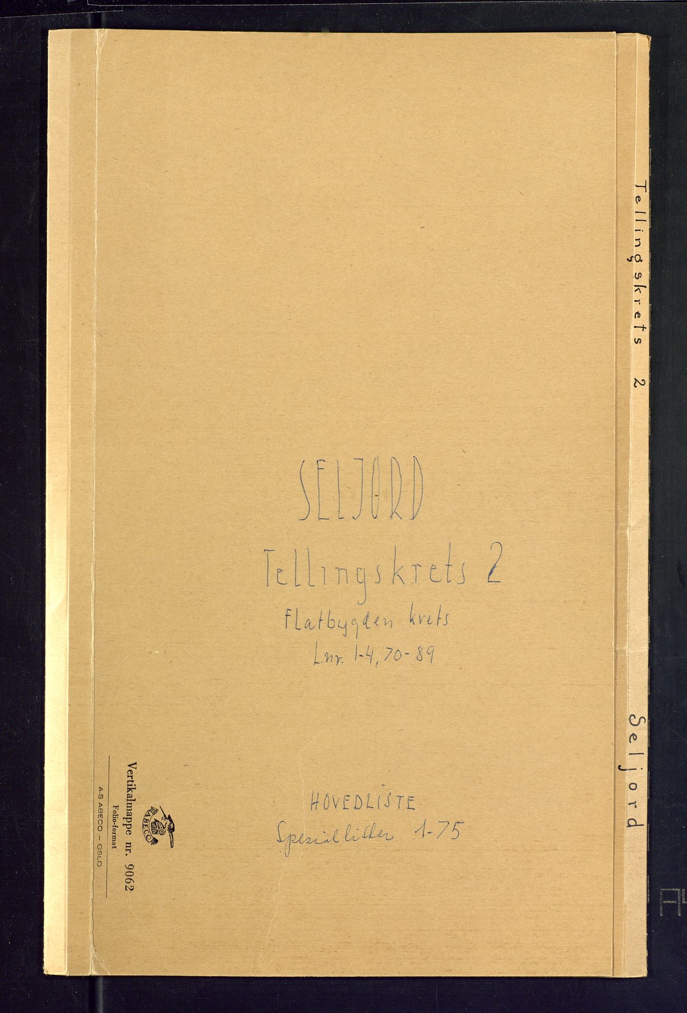 SAKO, Folketelling 1875 for 0828P Seljord prestegjeld, 1875, s. 5