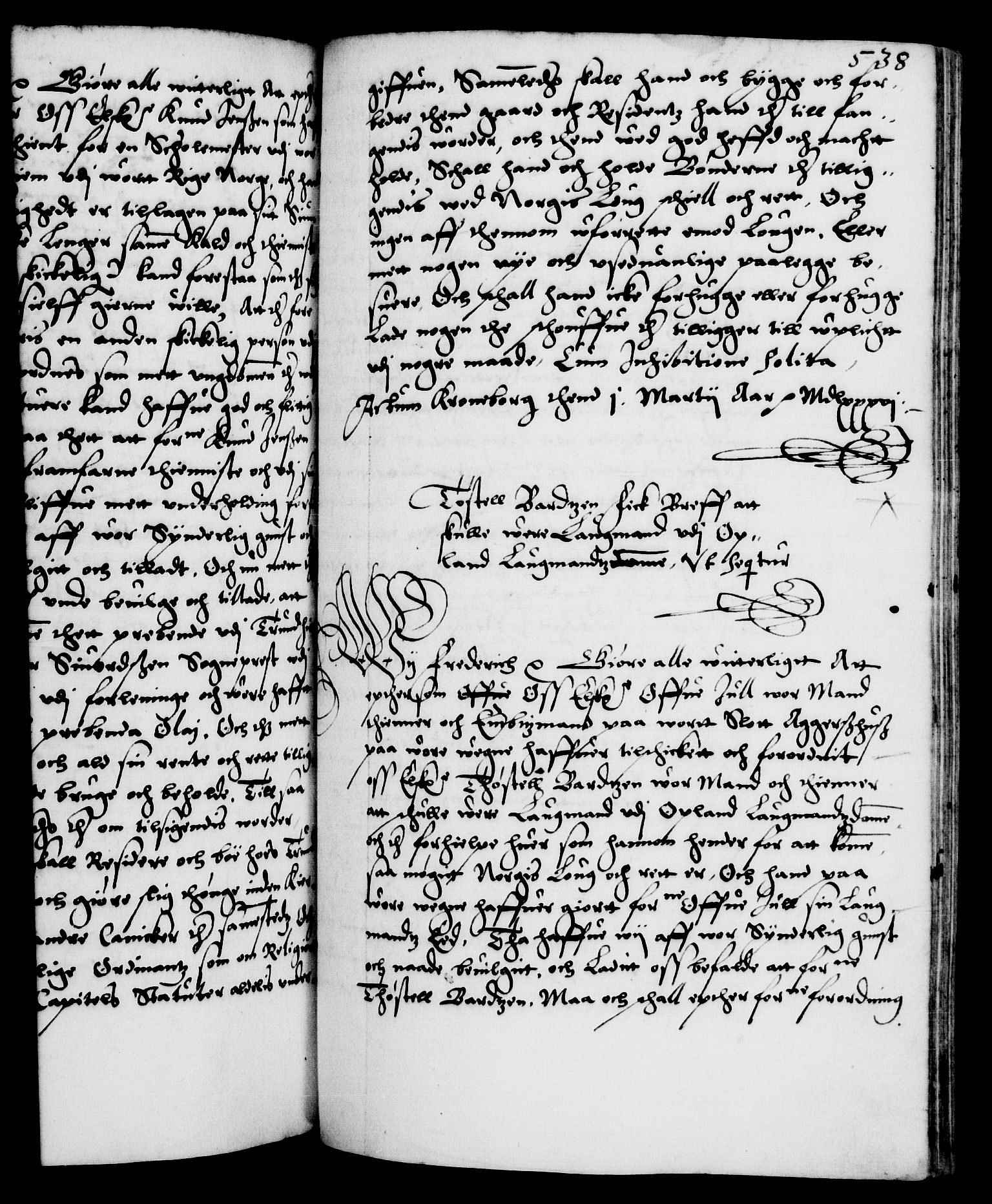 Danske Kanselli 1572-1799, RA/EA-3023/F/Fc/Fca/Fcaa/L0001: Norske registre (mikrofilm), 1572-1588, s. 538a