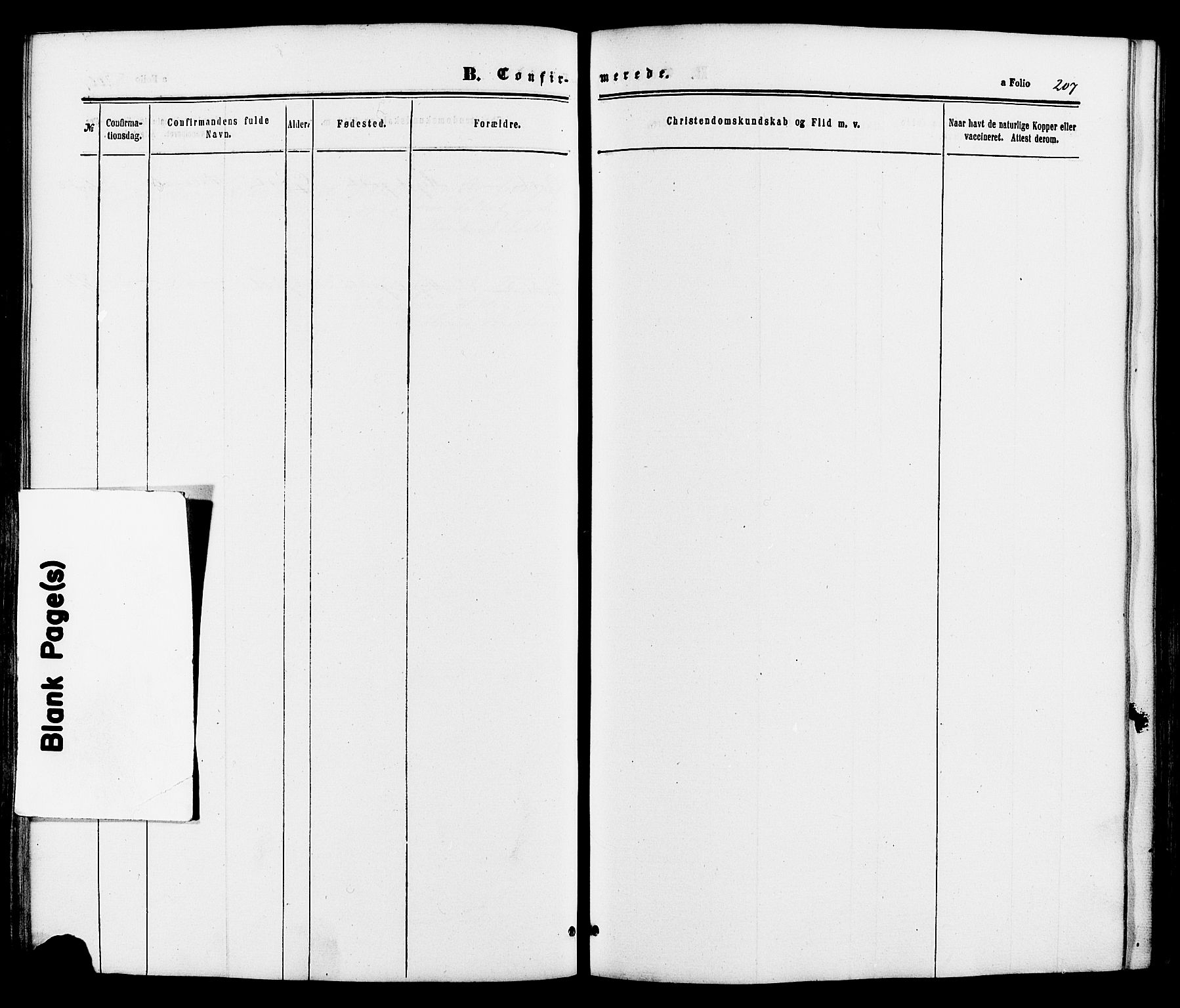 Kvikne prestekontor, AV/SAH-PREST-064/H/Ha/Haa/L0006: Ministerialbok nr. 6, 1863-1886, s. 207