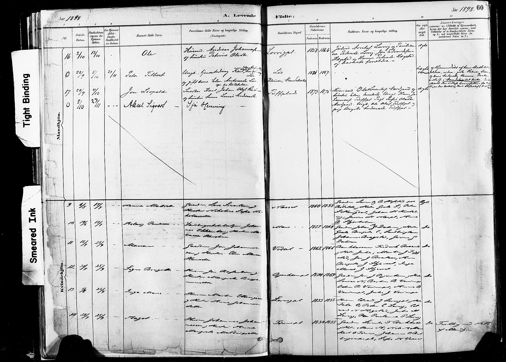 Ministerialprotokoller, klokkerbøker og fødselsregistre - Nord-Trøndelag, SAT/A-1458/735/L0351: Ministerialbok nr. 735A10, 1884-1908, s. 60
