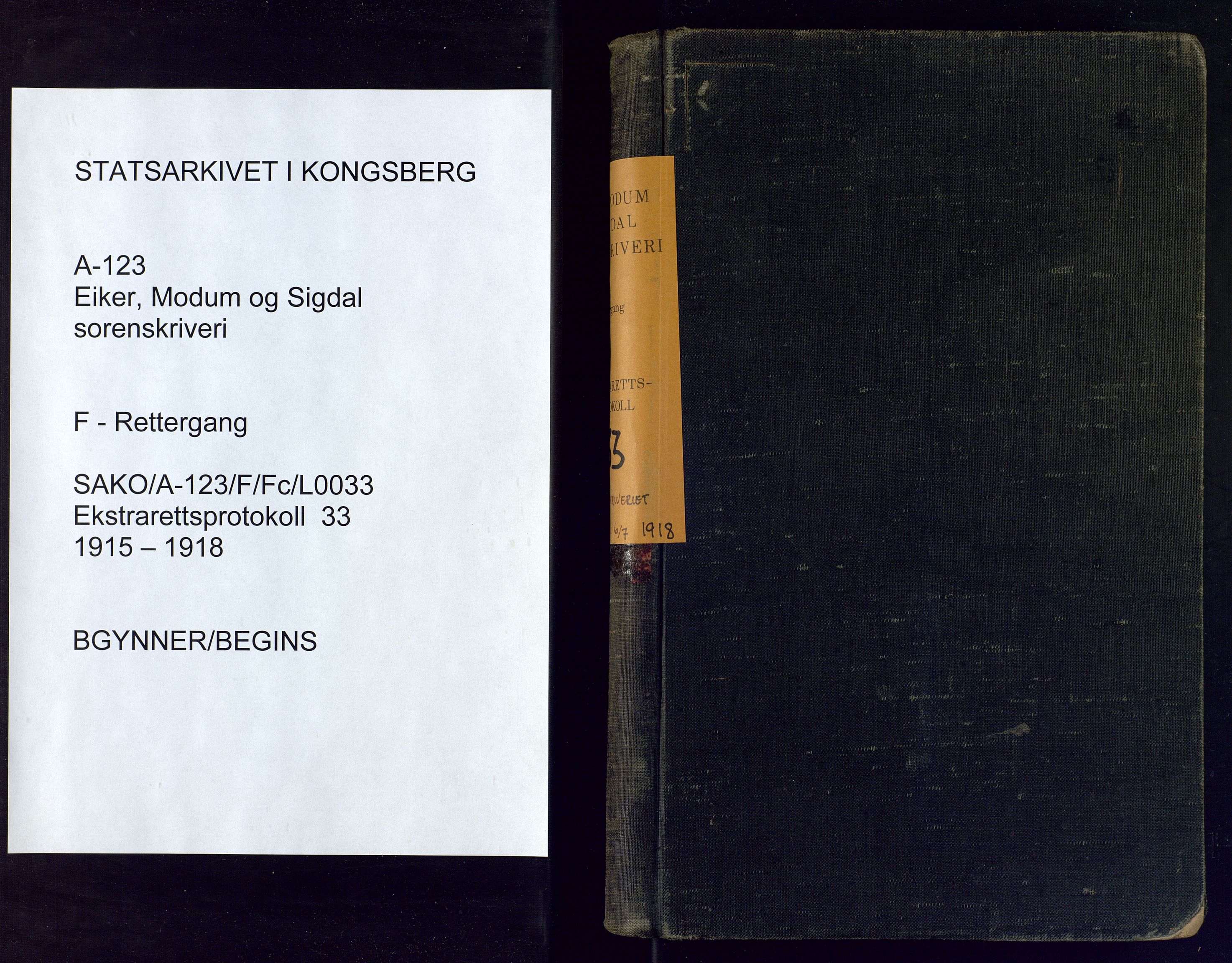 Eiker, Modum og Sigdal sorenskriveri, SAKO/A-123/F/Fc/L0033: Ekstrarettsprotokoll - sorenskriveriet, 1915-1918