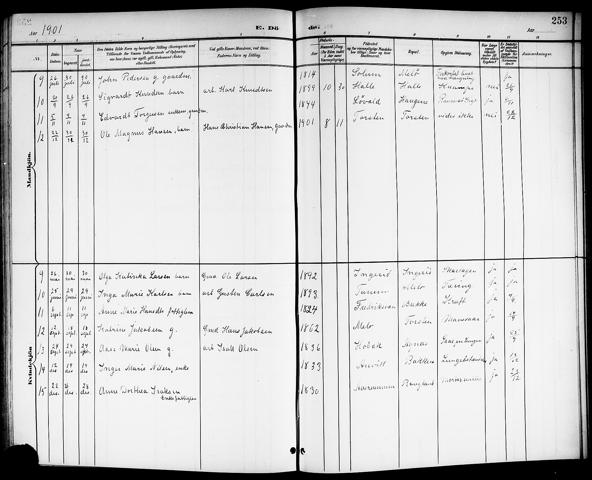 Brunlanes kirkebøker, AV/SAKO-A-342/G/Ga/L0004: Klokkerbok nr. I 4, 1898-1921, s. 253