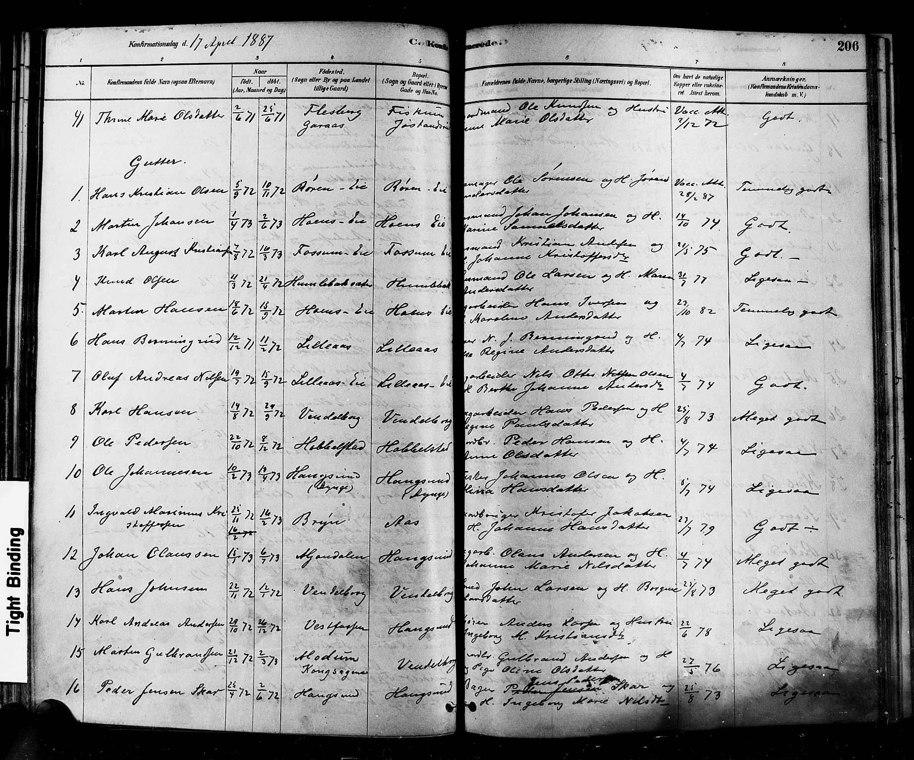 Eiker kirkebøker, AV/SAKO-A-4/F/Fb/L0001: Ministerialbok nr. II 1, 1878-1888, s. 206