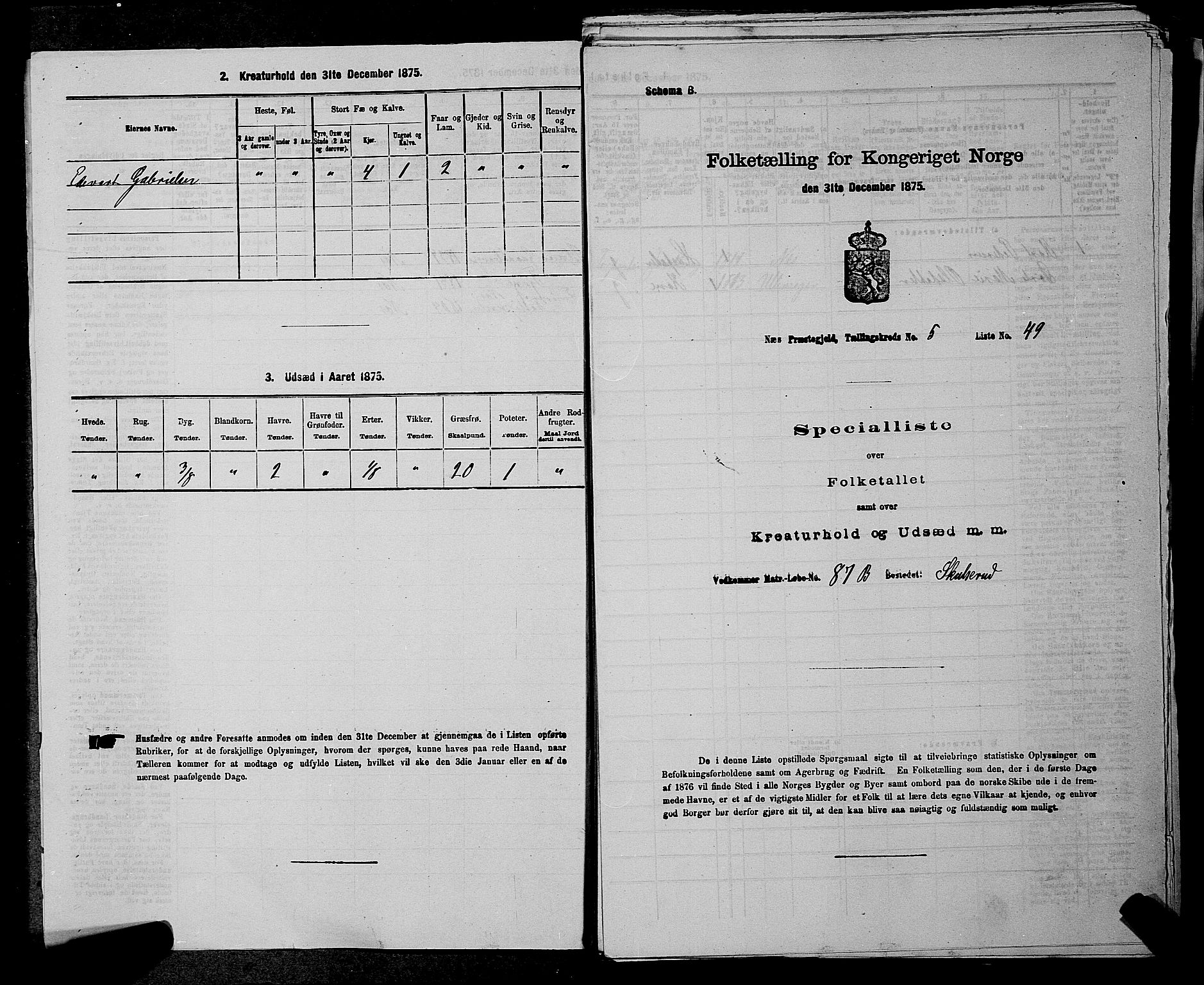 RA, Folketelling 1875 for 0236P Nes prestegjeld, 1875, s. 699