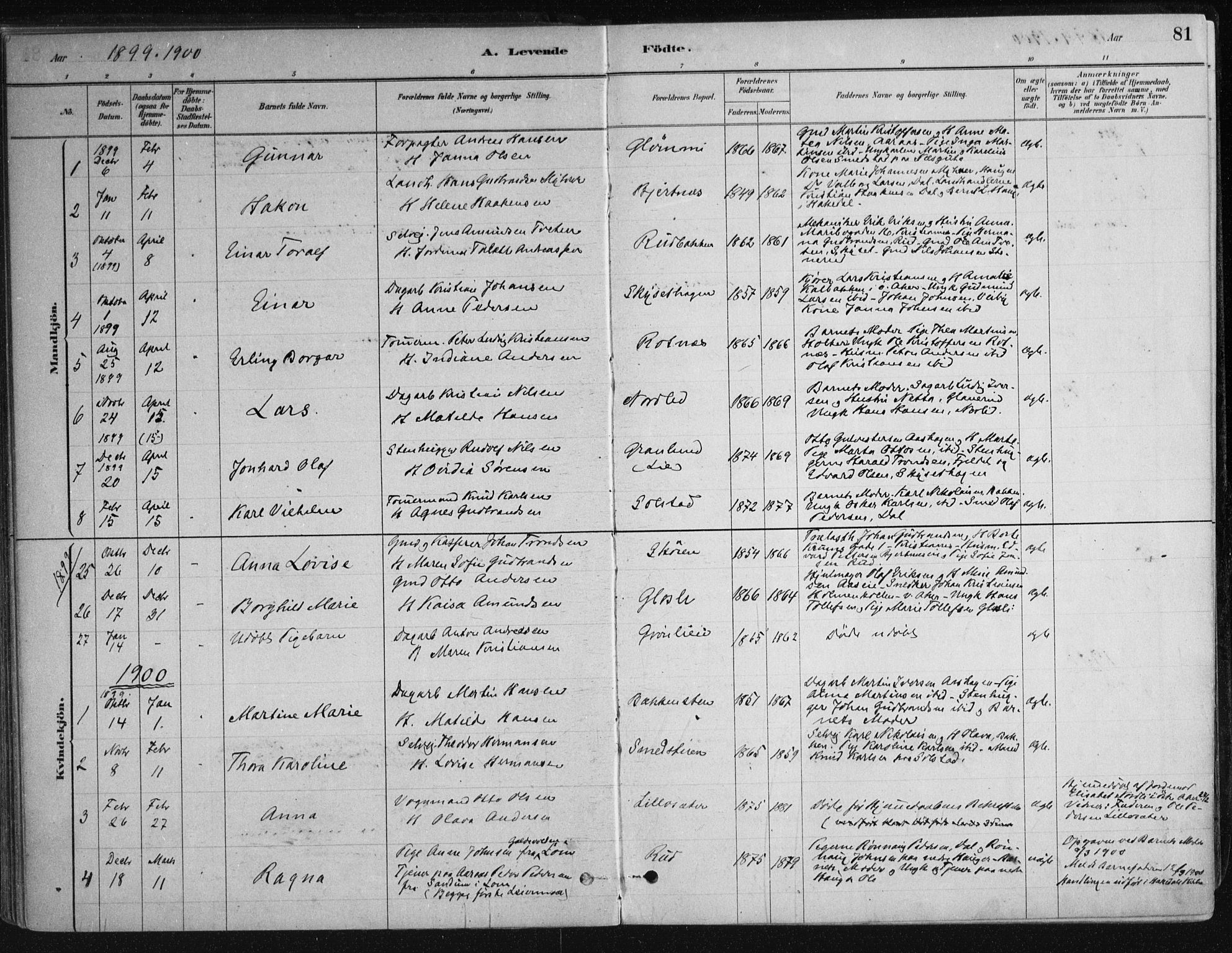 Nittedal prestekontor Kirkebøker, AV/SAO-A-10365a/F/Fa/L0007: Ministerialbok nr. I 7, 1879-1901, s. 81