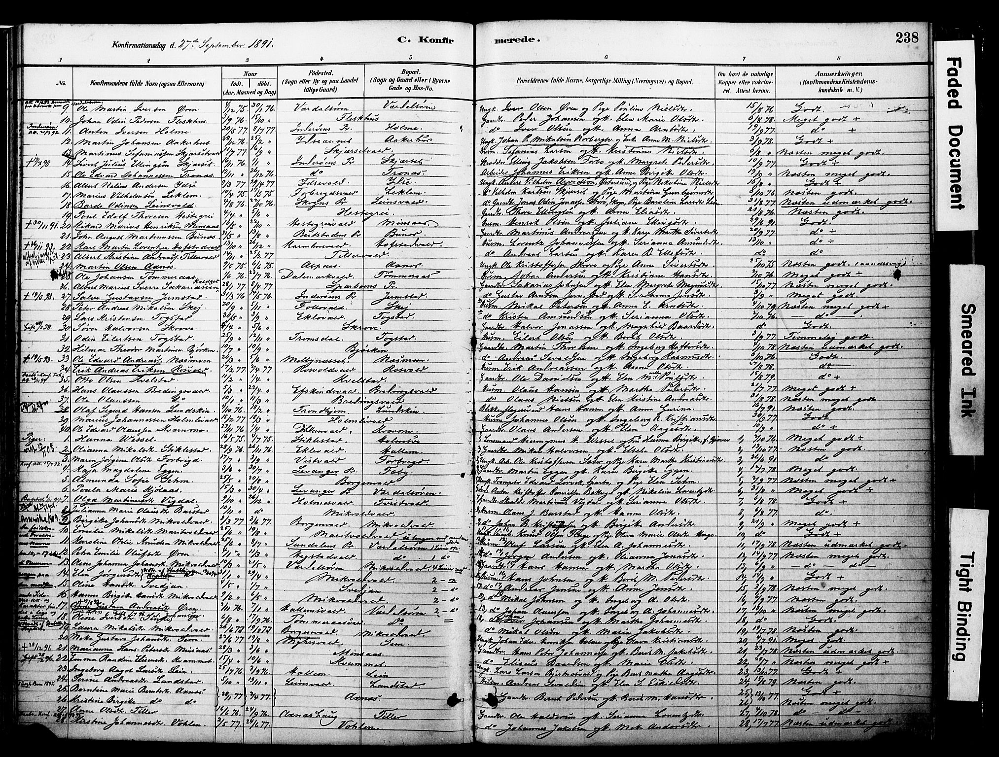 Ministerialprotokoller, klokkerbøker og fødselsregistre - Nord-Trøndelag, AV/SAT-A-1458/723/L0244: Ministerialbok nr. 723A13, 1881-1899, s. 238