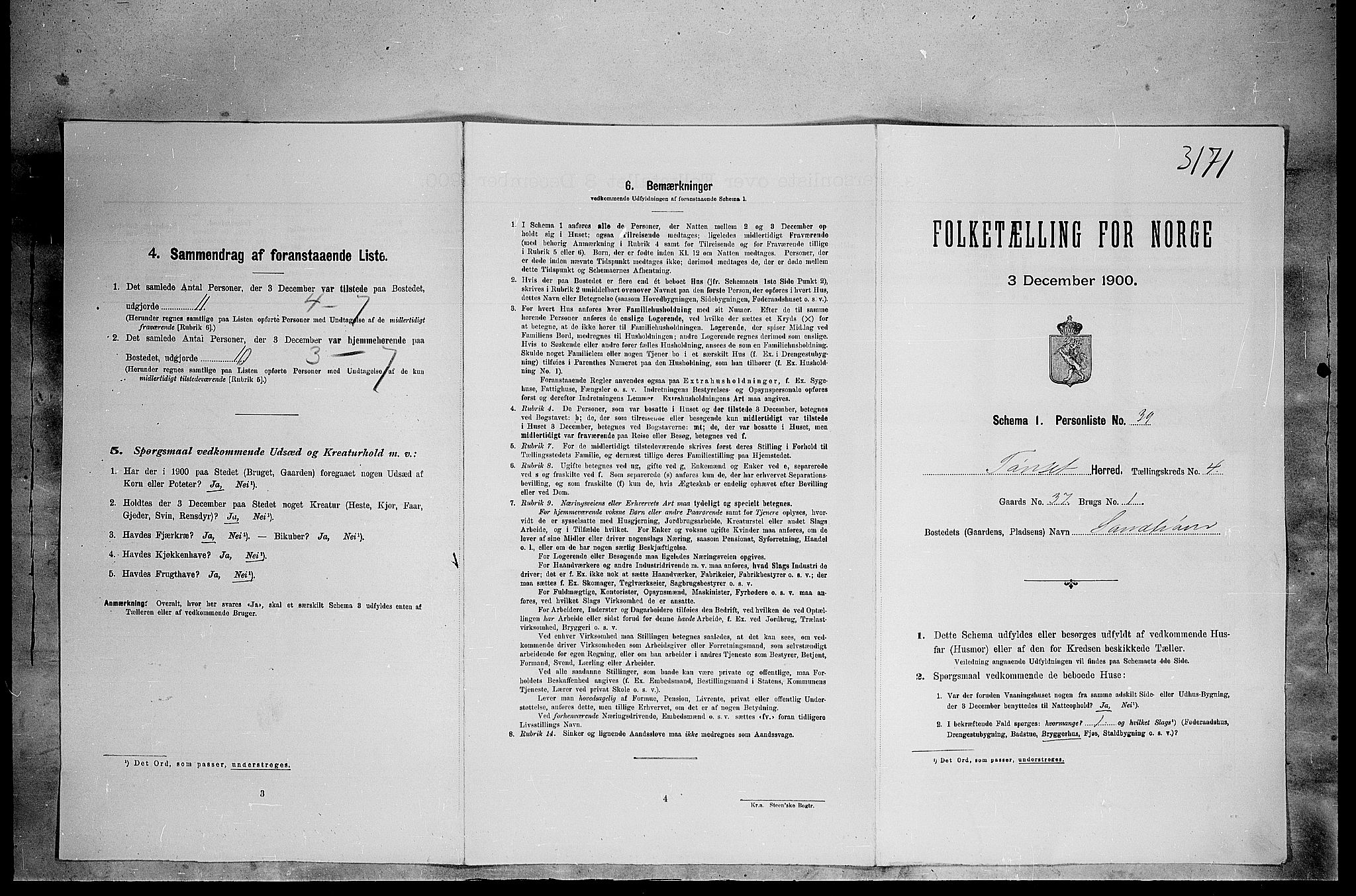 SAH, Folketelling 1900 for 0437 Tynset herred, 1900, s. 411