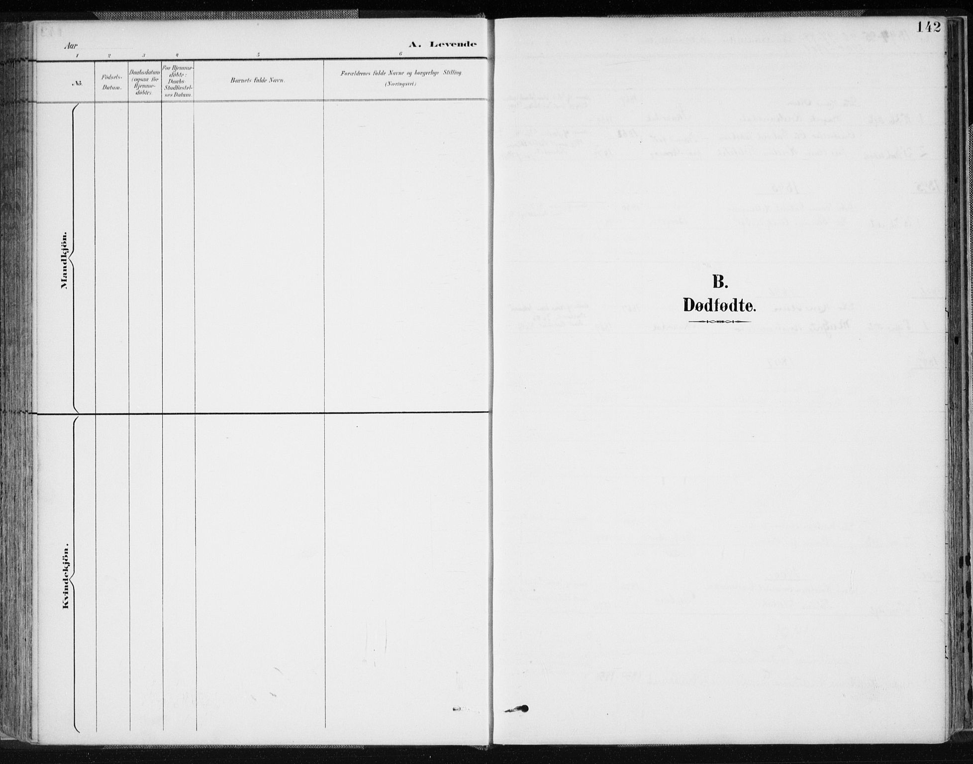Lyngdal sokneprestkontor, AV/SAK-1111-0029/F/Fa/Fac/L0012: Ministerialbok nr. A 12, 1894-1918, s. 142