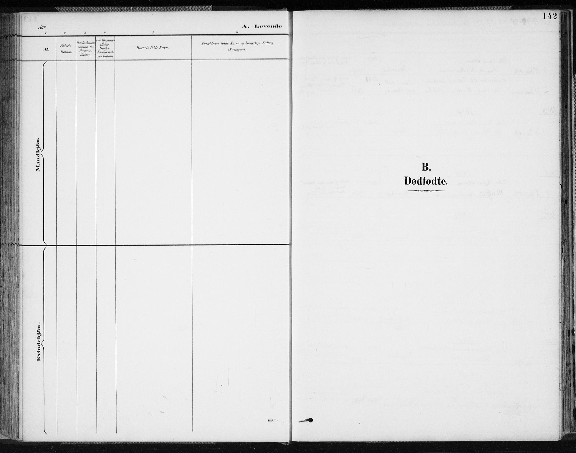 Lyngdal sokneprestkontor, SAK/1111-0029/F/Fa/Fac/L0012: Ministerialbok nr. A 12, 1894-1918, s. 142