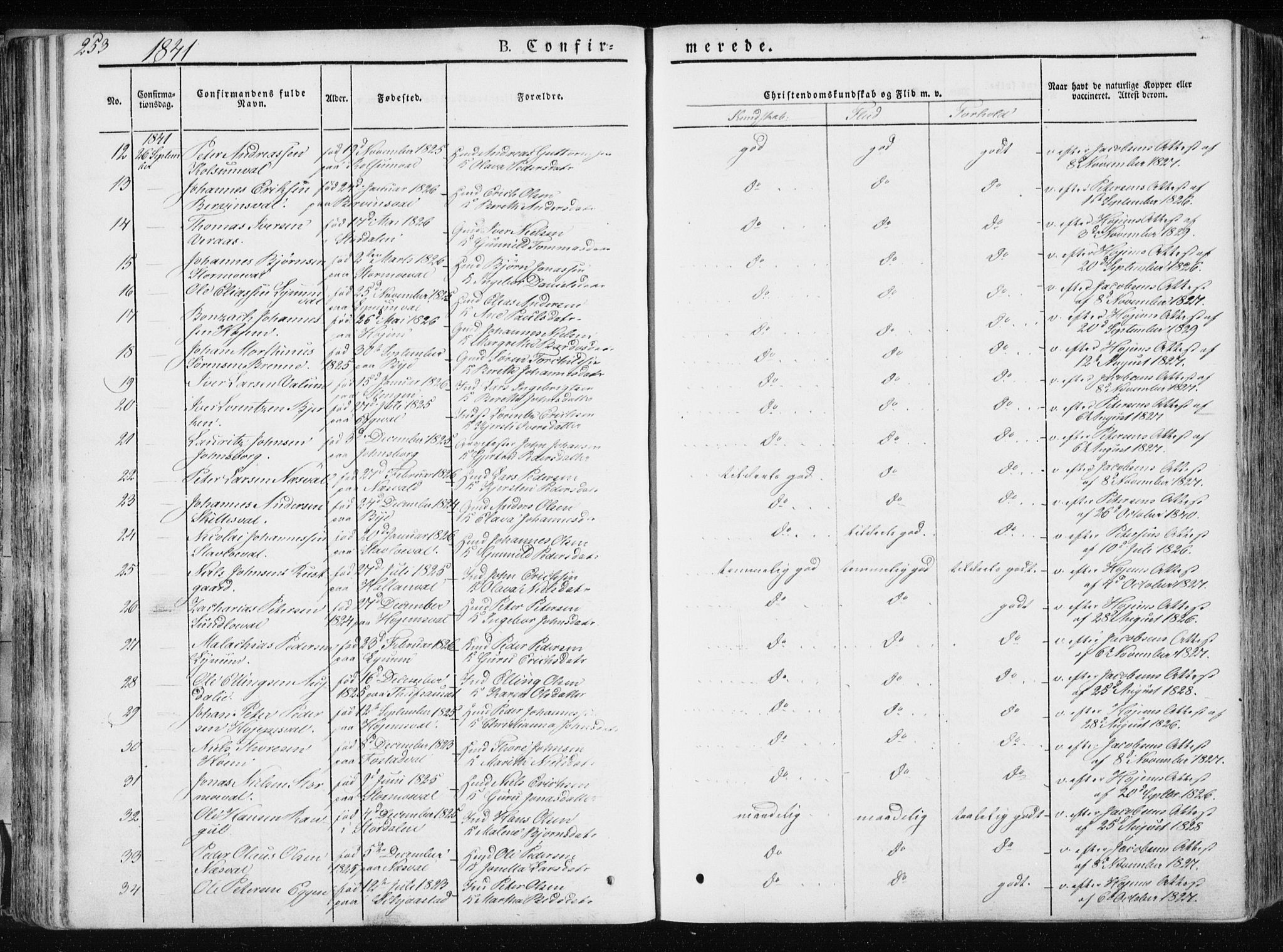 Ministerialprotokoller, klokkerbøker og fødselsregistre - Nord-Trøndelag, SAT/A-1458/717/L0154: Ministerialbok nr. 717A06 /1, 1836-1849, s. 253