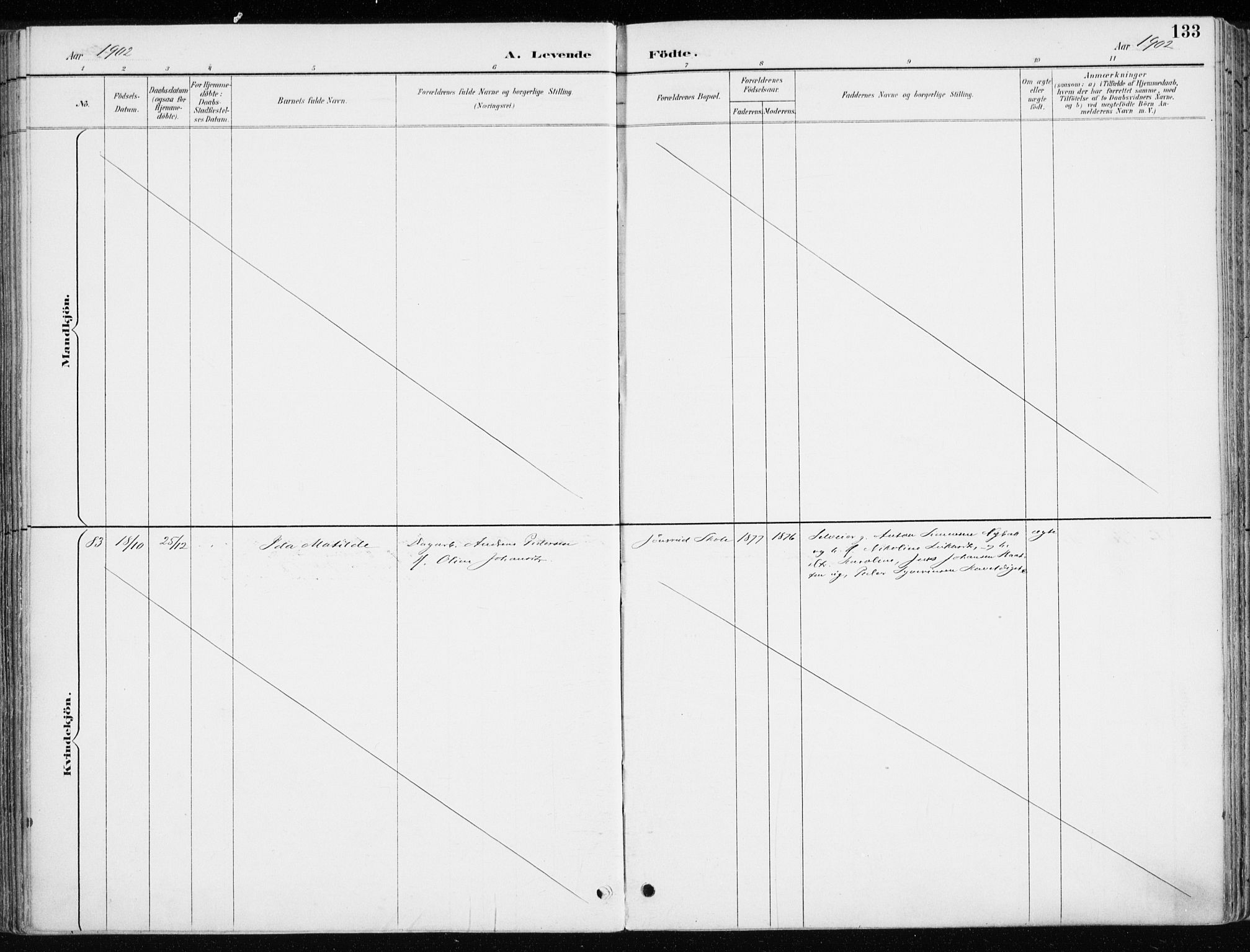 Løten prestekontor, SAH/PREST-022/K/Ka/L0010: Ministerialbok nr. 10, 1892-1907, s. 133