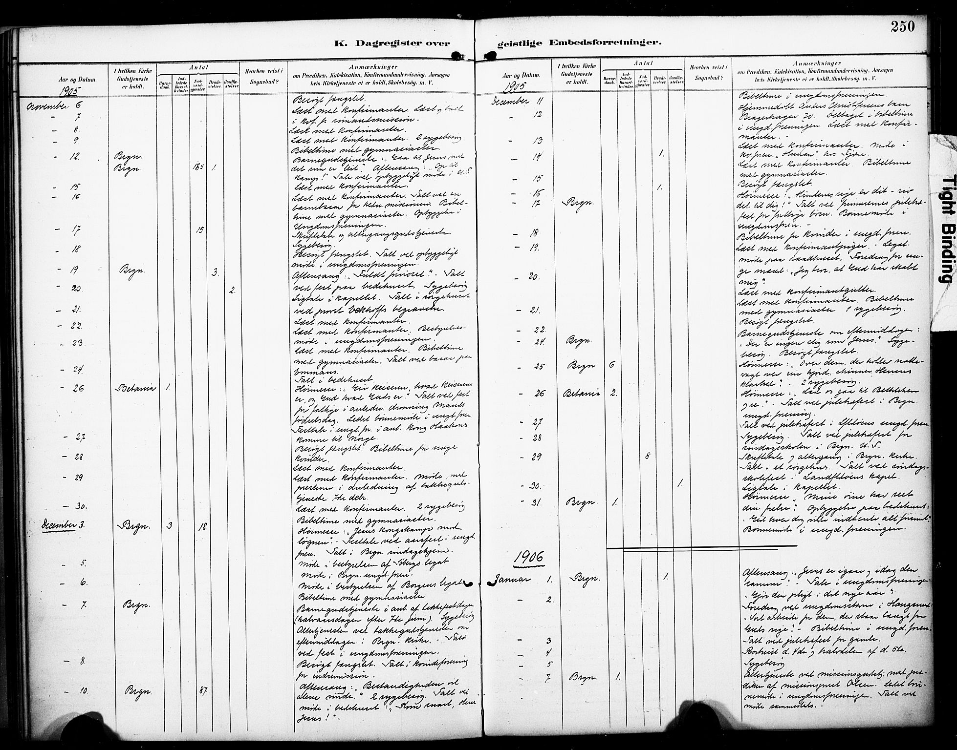 Bragernes kirkebøker, SAKO/A-6/F/Fc/L0006: Ministerialbok nr. III 6, 1888-1899, s. 250
