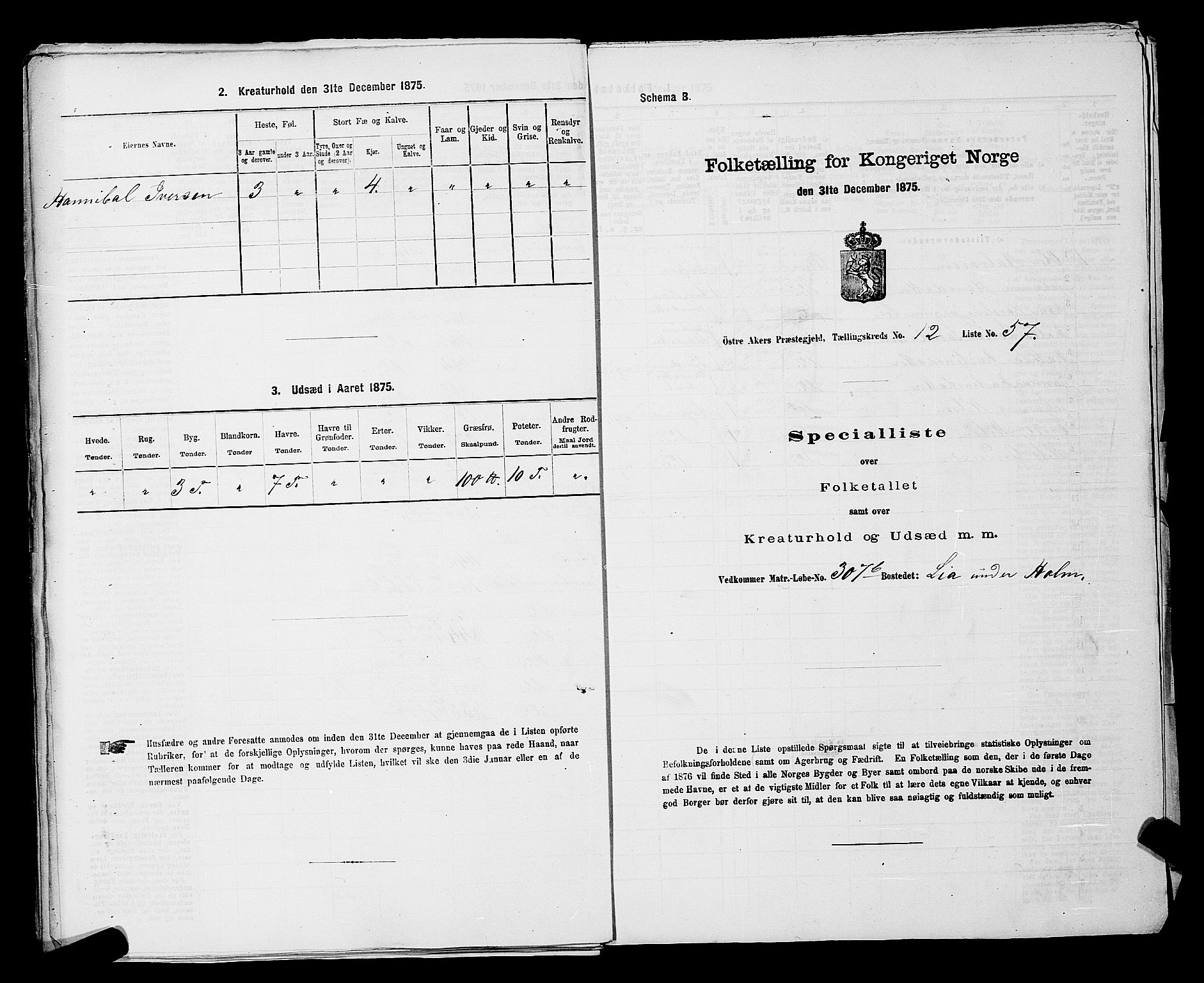 RA, Folketelling 1875 for 0218bP Østre Aker prestegjeld, 1875, s. 3808