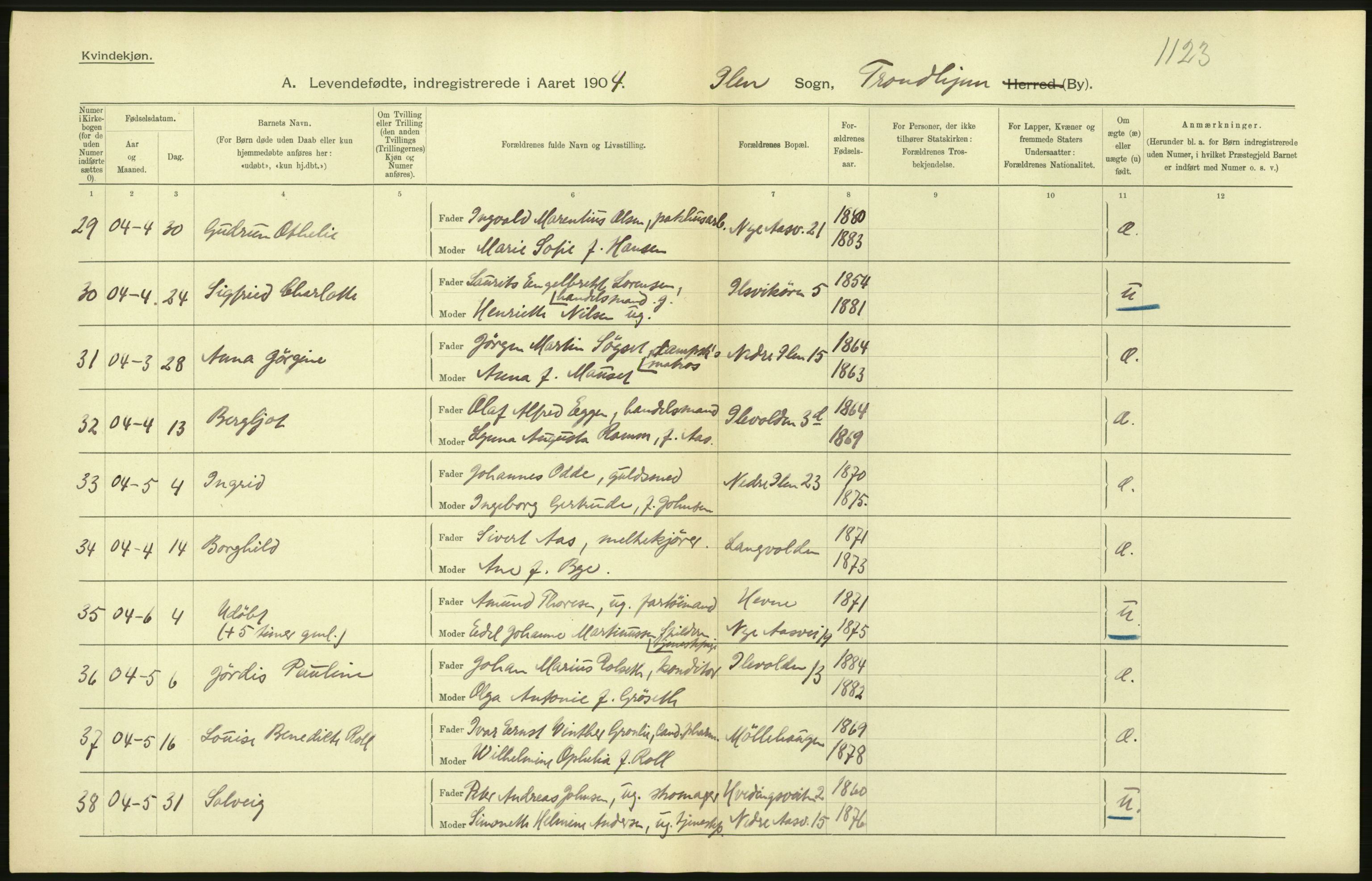 Statistisk sentralbyrå, Sosiodemografiske emner, Befolkning, AV/RA-S-2228/D/Df/Dfa/Dfab/L0018: Trondhjem: Fødte, gifte, døde., 1904, s. 170