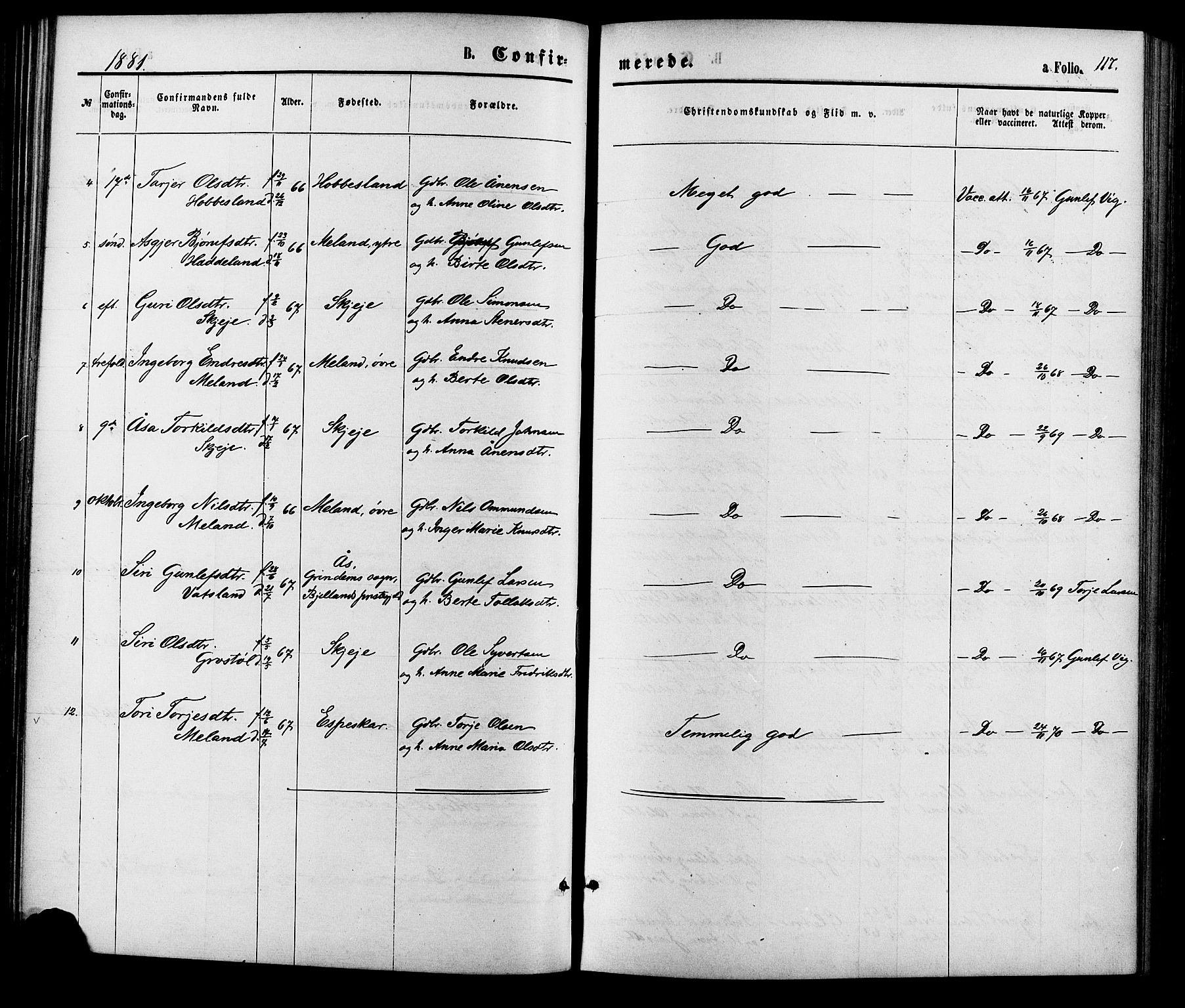 Hægebostad sokneprestkontor, SAK/1111-0024/F/Fa/Fab/L0003: Ministerialbok nr. A 3, 1872-1886, s. 117