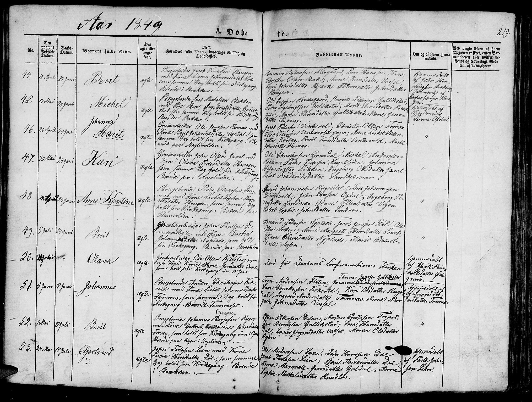 Ministerialprotokoller, klokkerbøker og fødselsregistre - Sør-Trøndelag, AV/SAT-A-1456/681/L0938: Klokkerbok nr. 681C02, 1829-1879, s. 219