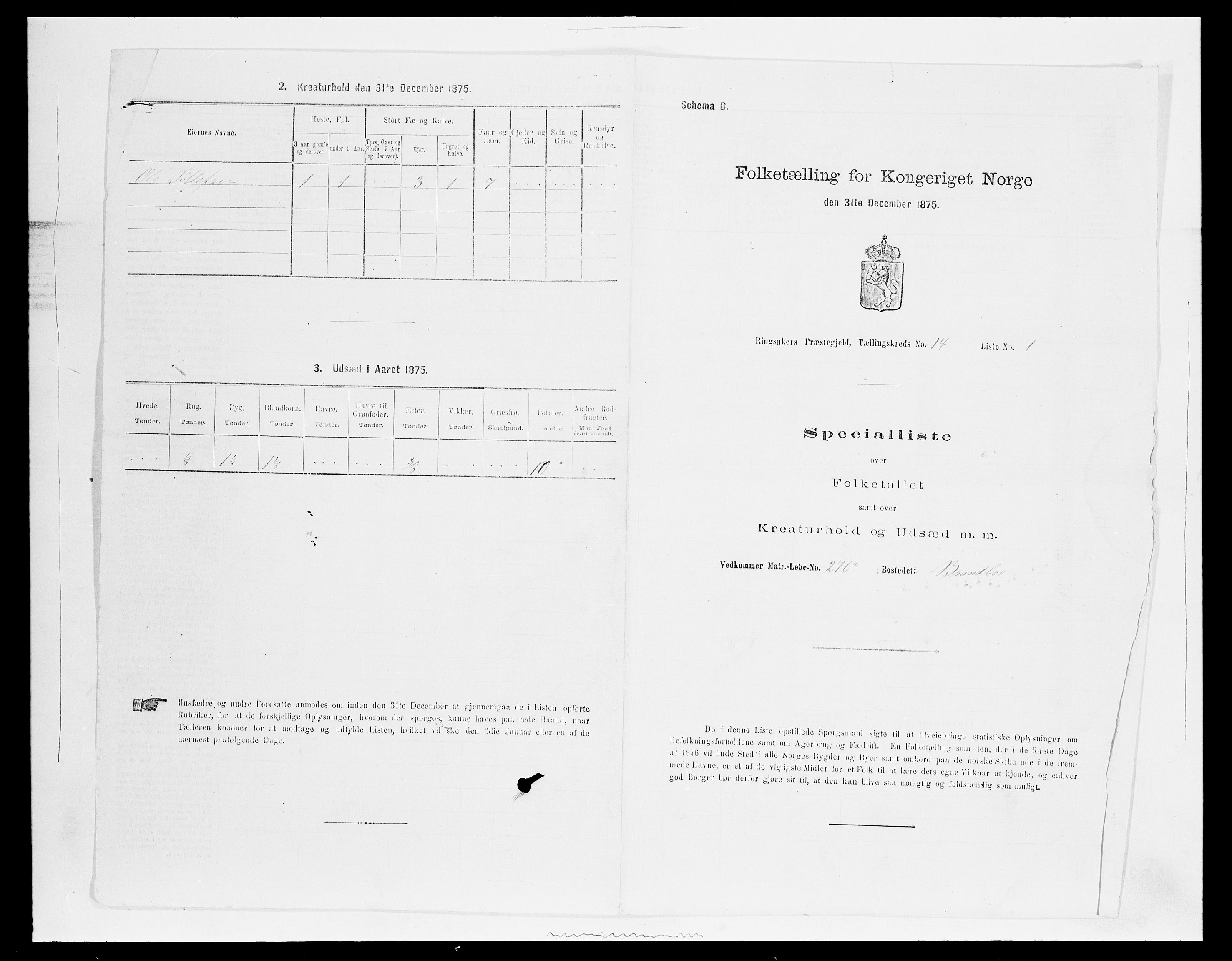 SAH, Folketelling 1875 for 0412P Ringsaker prestegjeld, 1875, s. 2822