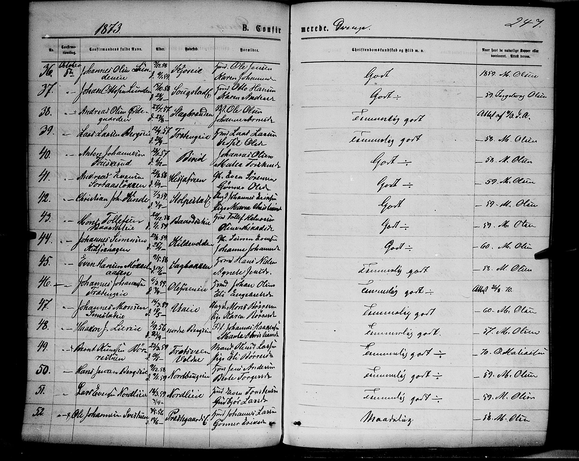 Ringsaker prestekontor, AV/SAH-PREST-014/K/Ka/L0011: Ministerialbok nr. 11, 1870-1878, s. 247