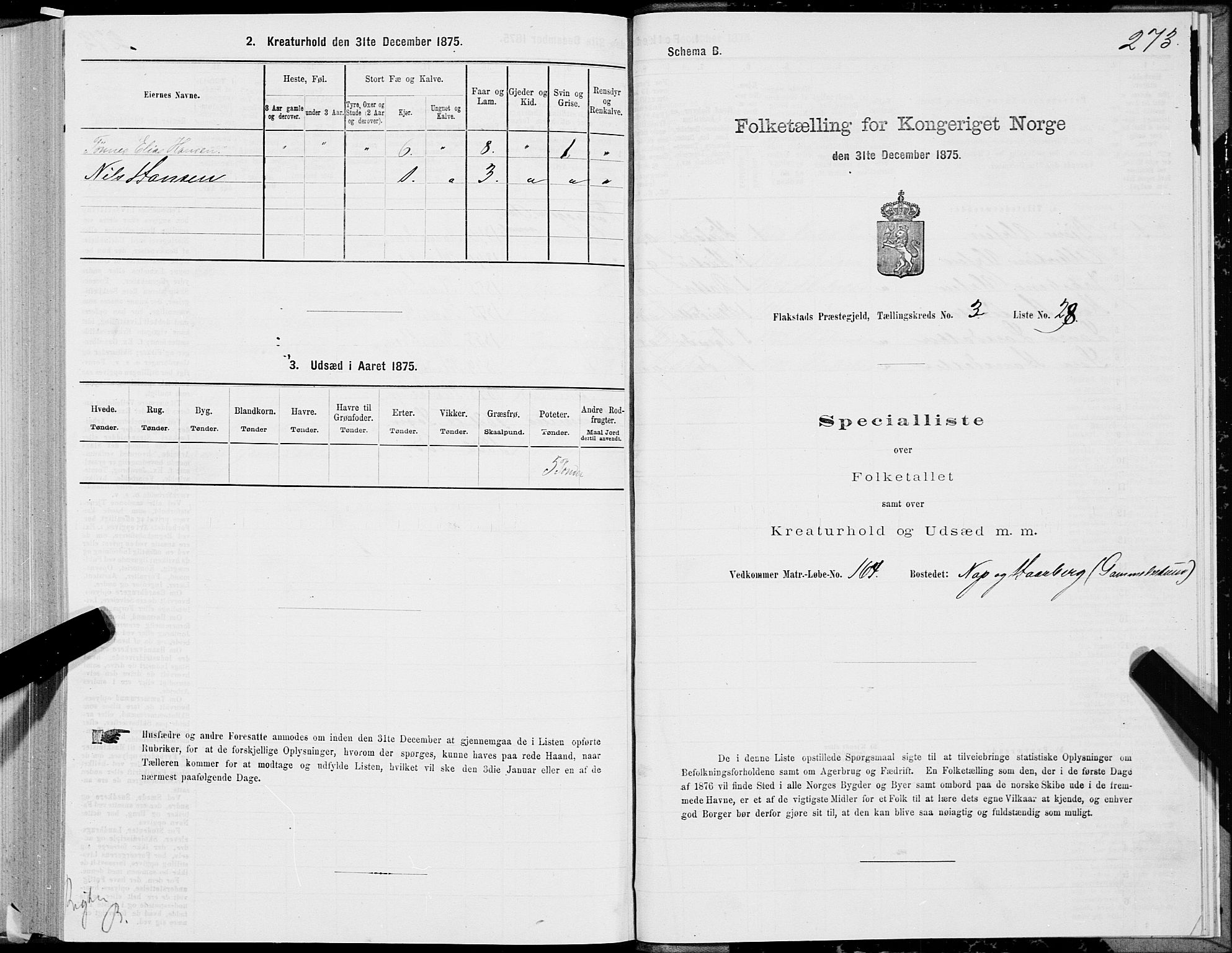 SAT, Folketelling 1875 for 1859P Flakstad prestegjeld, 1875, s. 1273