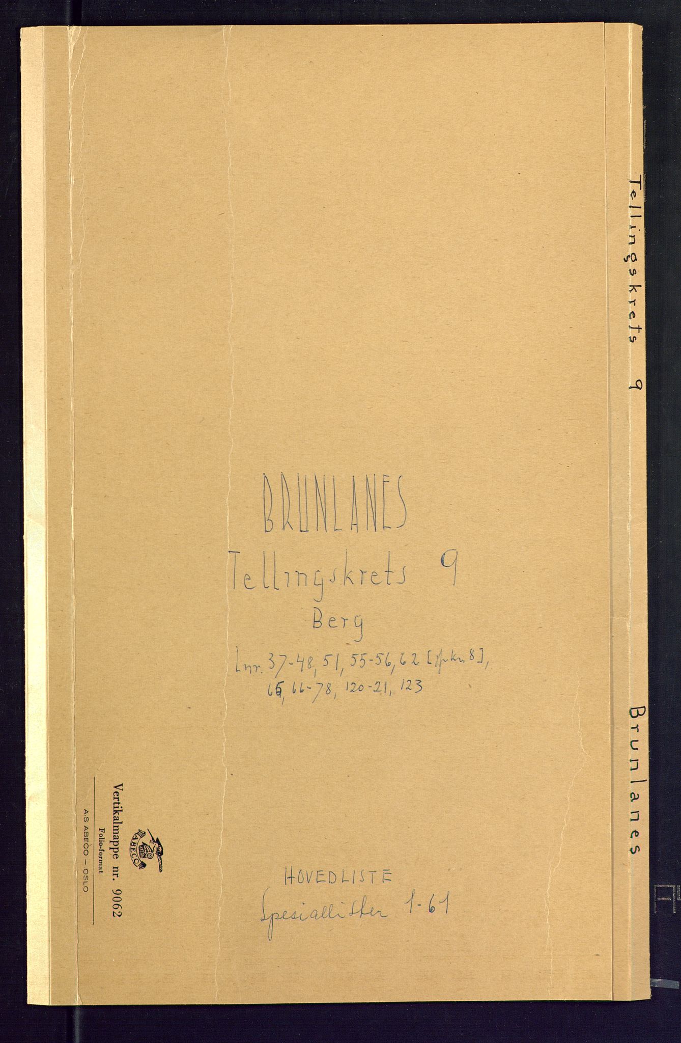 SAKO, Folketelling 1875 for 0726P Brunlanes prestegjeld, 1875, s. 33