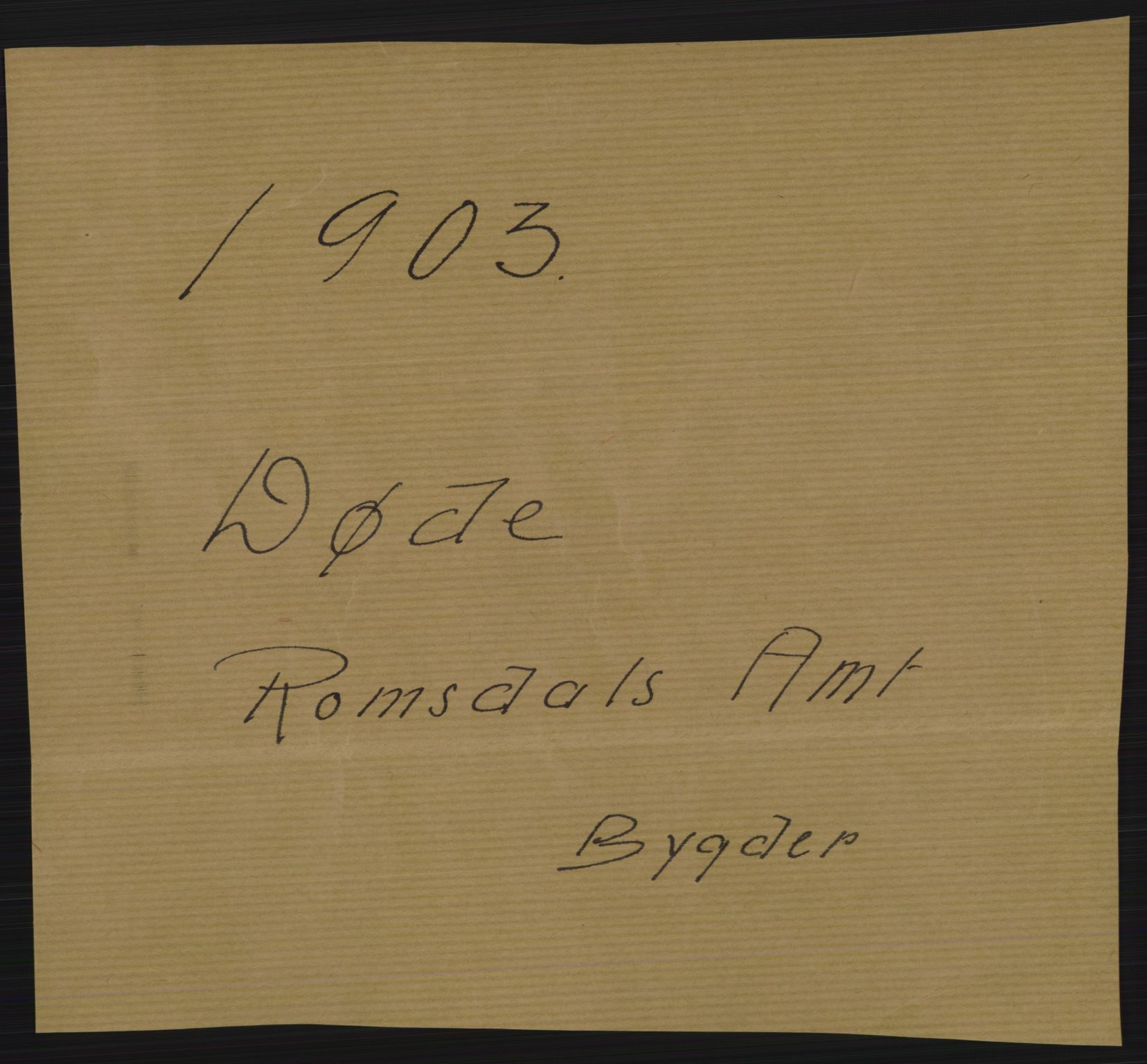 Statistisk sentralbyrå, Sosiodemografiske emner, Befolkning, AV/RA-S-2228/D/Df/Dfa/Dfaa/L0016: Romsdal amt: Fødte, gifte, døde., 1903, s. 737