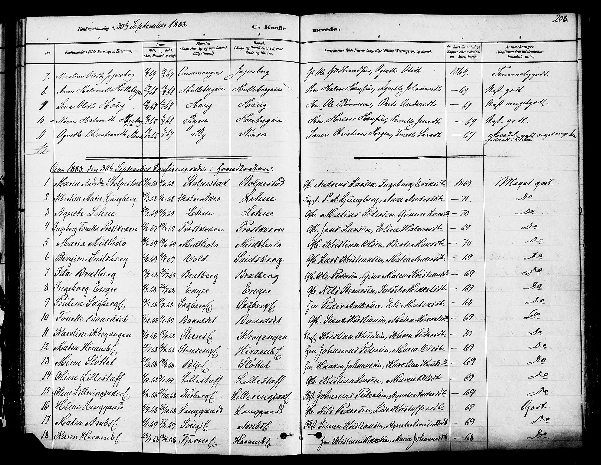 Ringsaker prestekontor, AV/SAH-PREST-014/K/Ka/L0012: Ministerialbok nr. 12, 1879-1890, s. 208