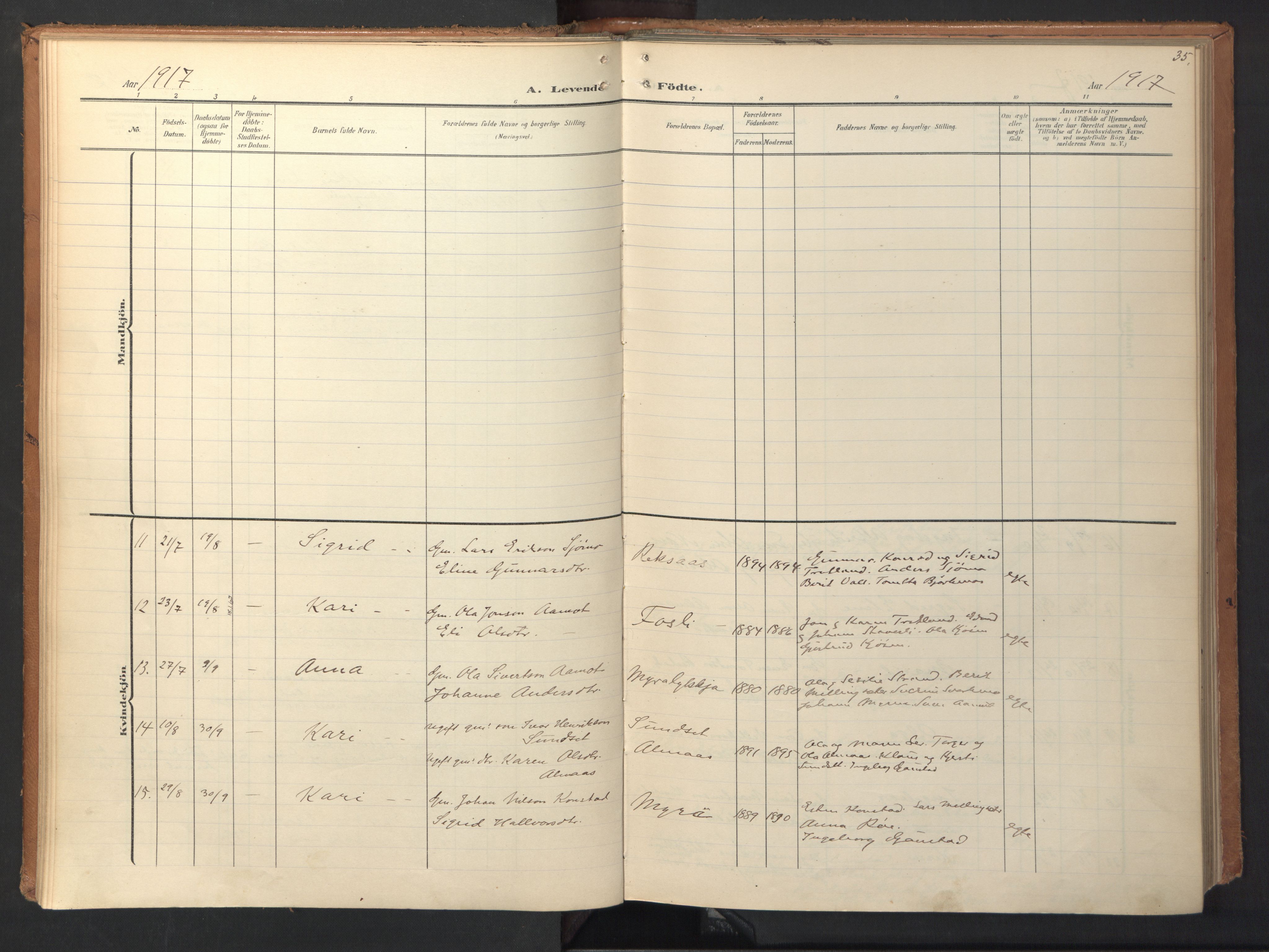 Ministerialprotokoller, klokkerbøker og fødselsregistre - Sør-Trøndelag, AV/SAT-A-1456/694/L1128: Ministerialbok nr. 694A02, 1906-1931, s. 35