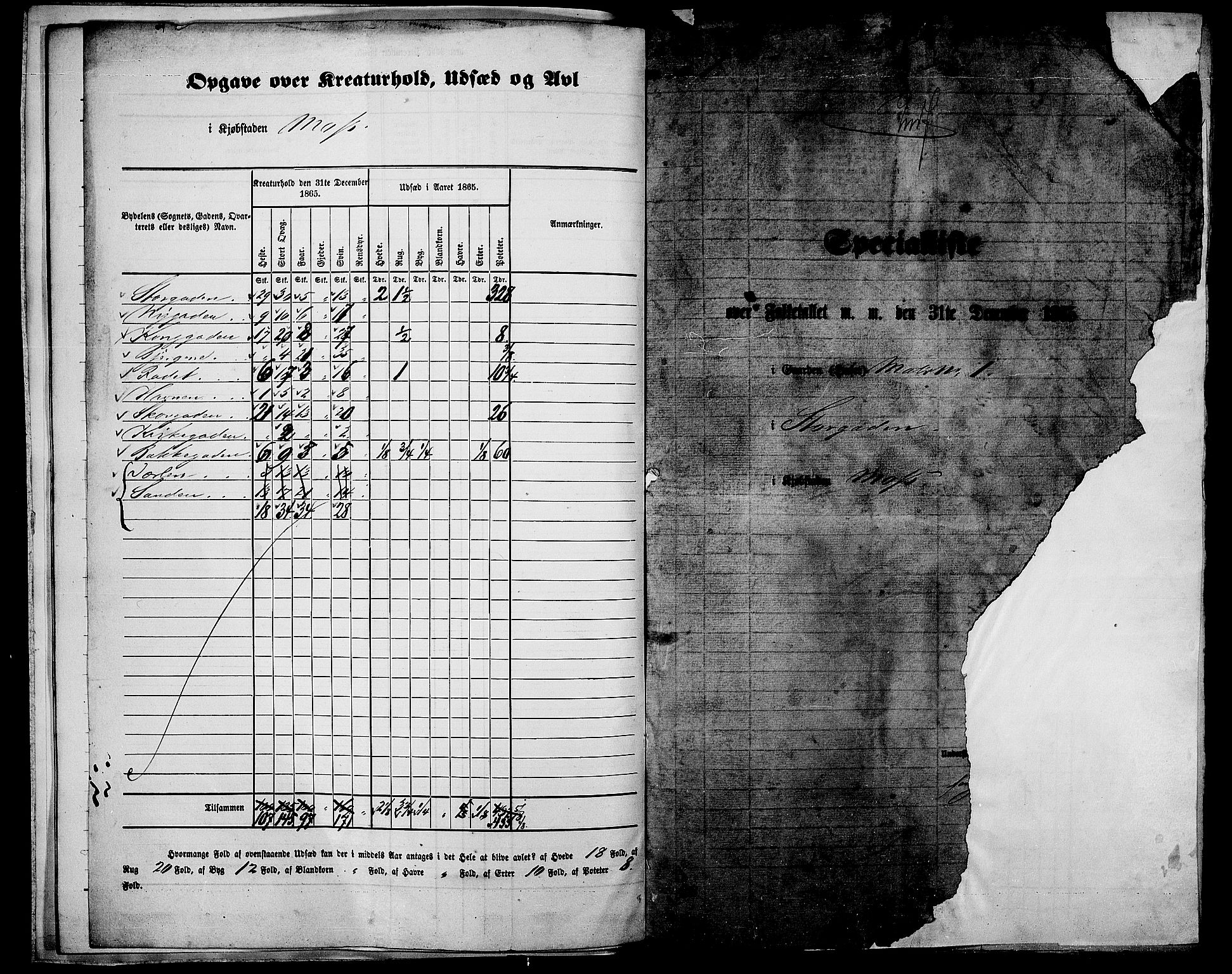 RA, Folketelling 1865 for 0104B Moss prestegjeld, Moss kjøpstad, 1865, s. 10