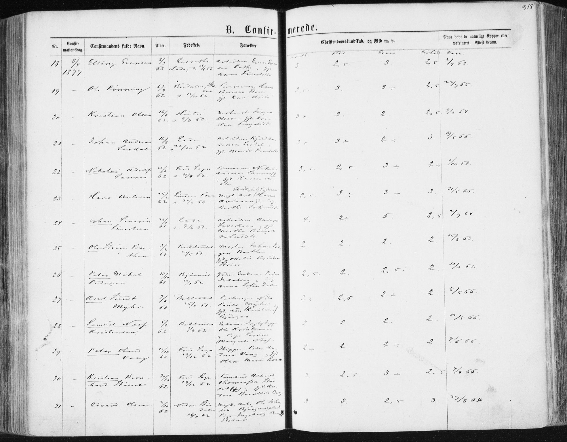 Ministerialprotokoller, klokkerbøker og fødselsregistre - Sør-Trøndelag, AV/SAT-A-1456/604/L0186: Ministerialbok nr. 604A07, 1866-1877, s. 315