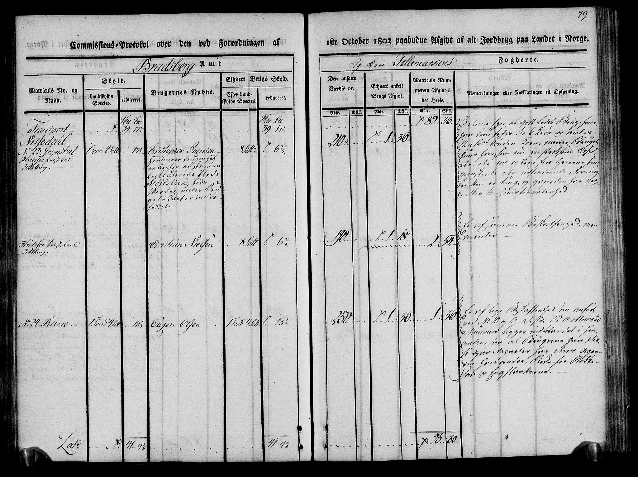 Rentekammeret inntil 1814, Realistisk ordnet avdeling, AV/RA-EA-4070/N/Ne/Nea/L0075: Øvre Telemarken fogderi. Kommisjonsprotokoll for fogderiets vestre del - Kviteseid, Vinje, Moland [):Fyresdal] og Lårdal prestegjeld., 1803, s. 79