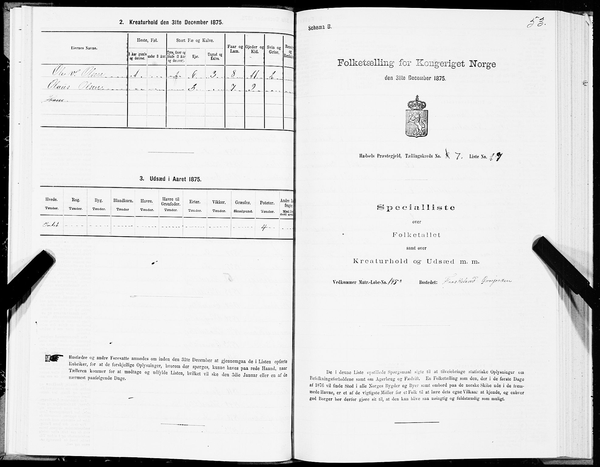 SAT, Folketelling 1875 for 1866P Hadsel prestegjeld, 1875, s. 4053