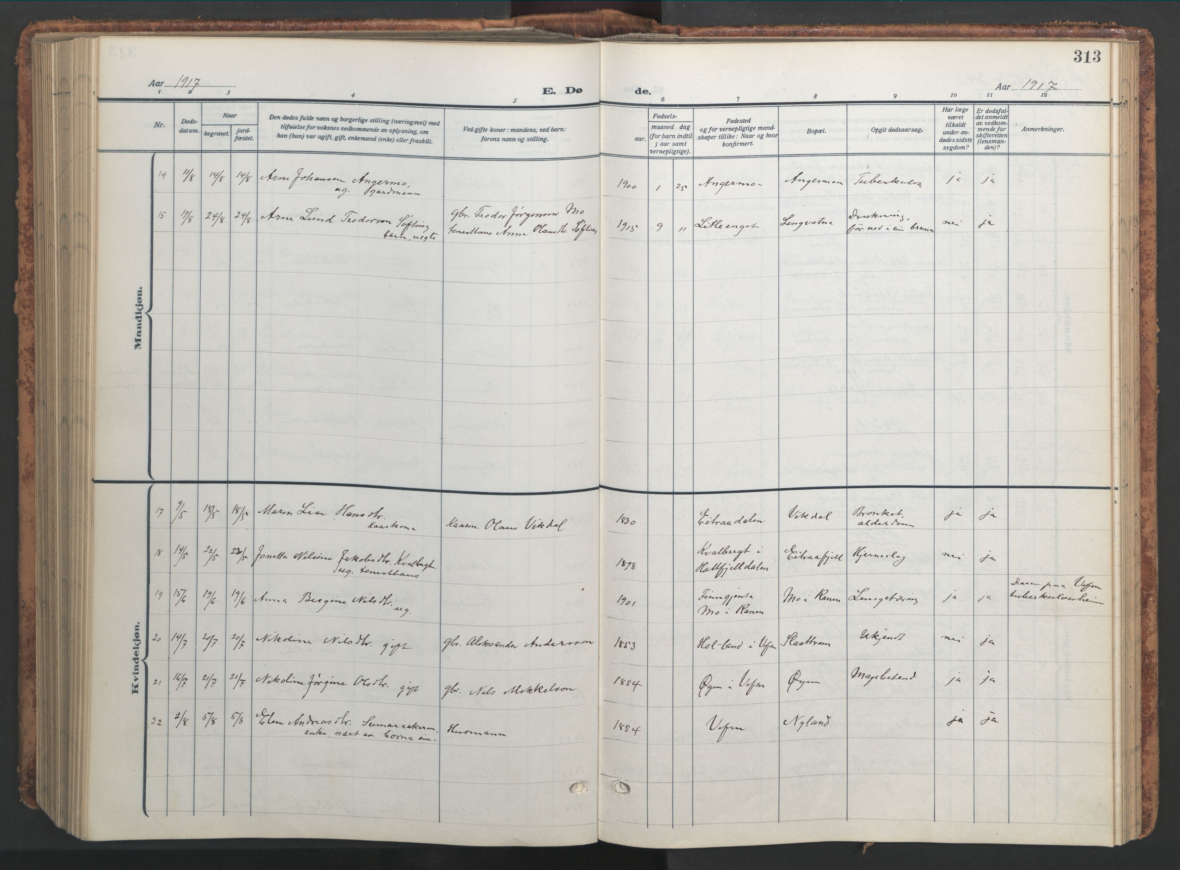 Ministerialprotokoller, klokkerbøker og fødselsregistre - Nordland, AV/SAT-A-1459/820/L0302: Klokkerbok nr. 820C04, 1917-1948, s. 313