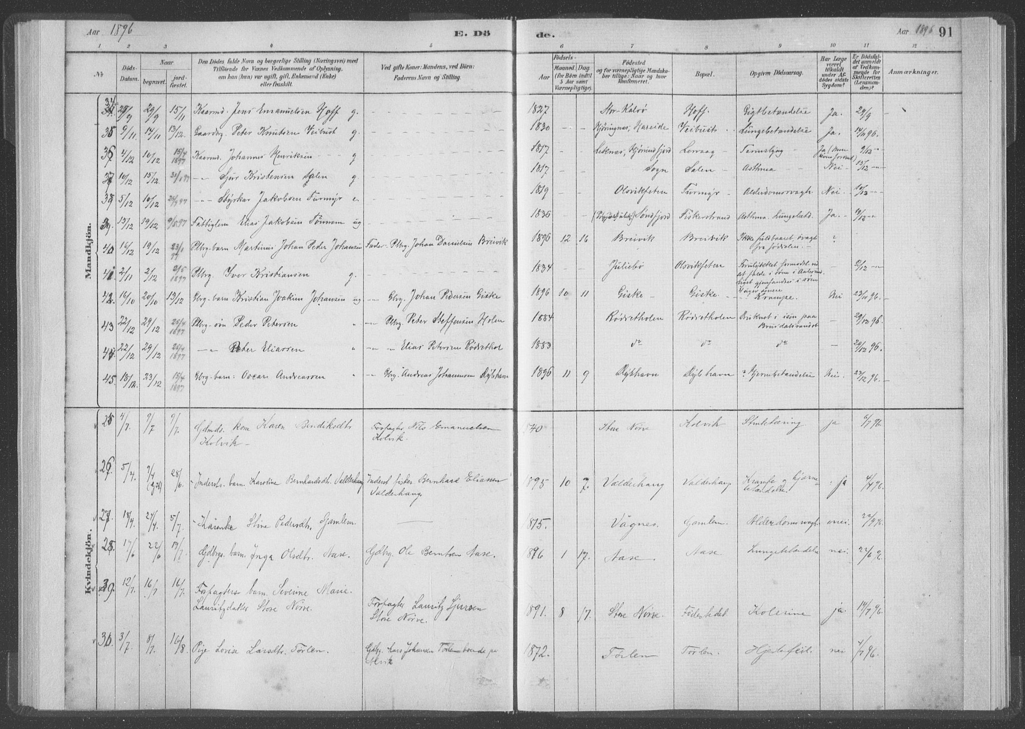 Ministerialprotokoller, klokkerbøker og fødselsregistre - Møre og Romsdal, AV/SAT-A-1454/528/L0403: Ministerialbok nr. 528A13I, 1880-1947, s. 91