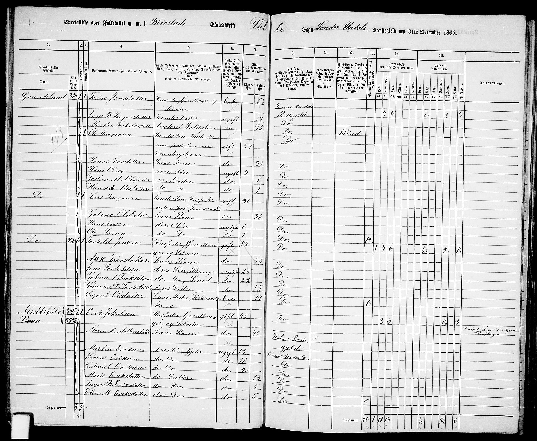 RA, Folketelling 1865 for 1029P Sør-Audnedal prestegjeld, 1865, s. 55