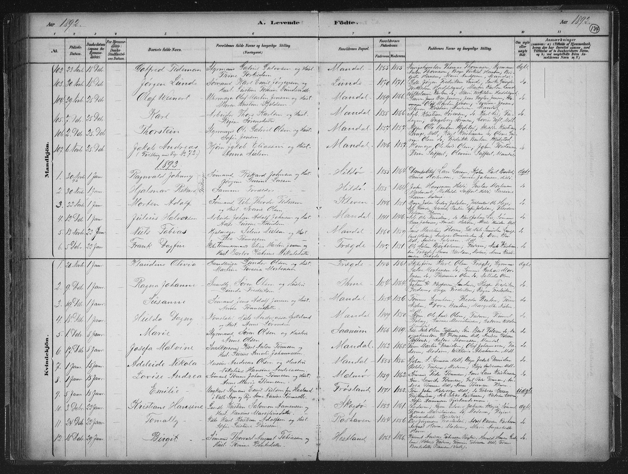 Mandal sokneprestkontor, AV/SAK-1111-0030/F/Fb/Fba/L0011: Klokkerbok nr. B 5, 1880-1898, s. 134