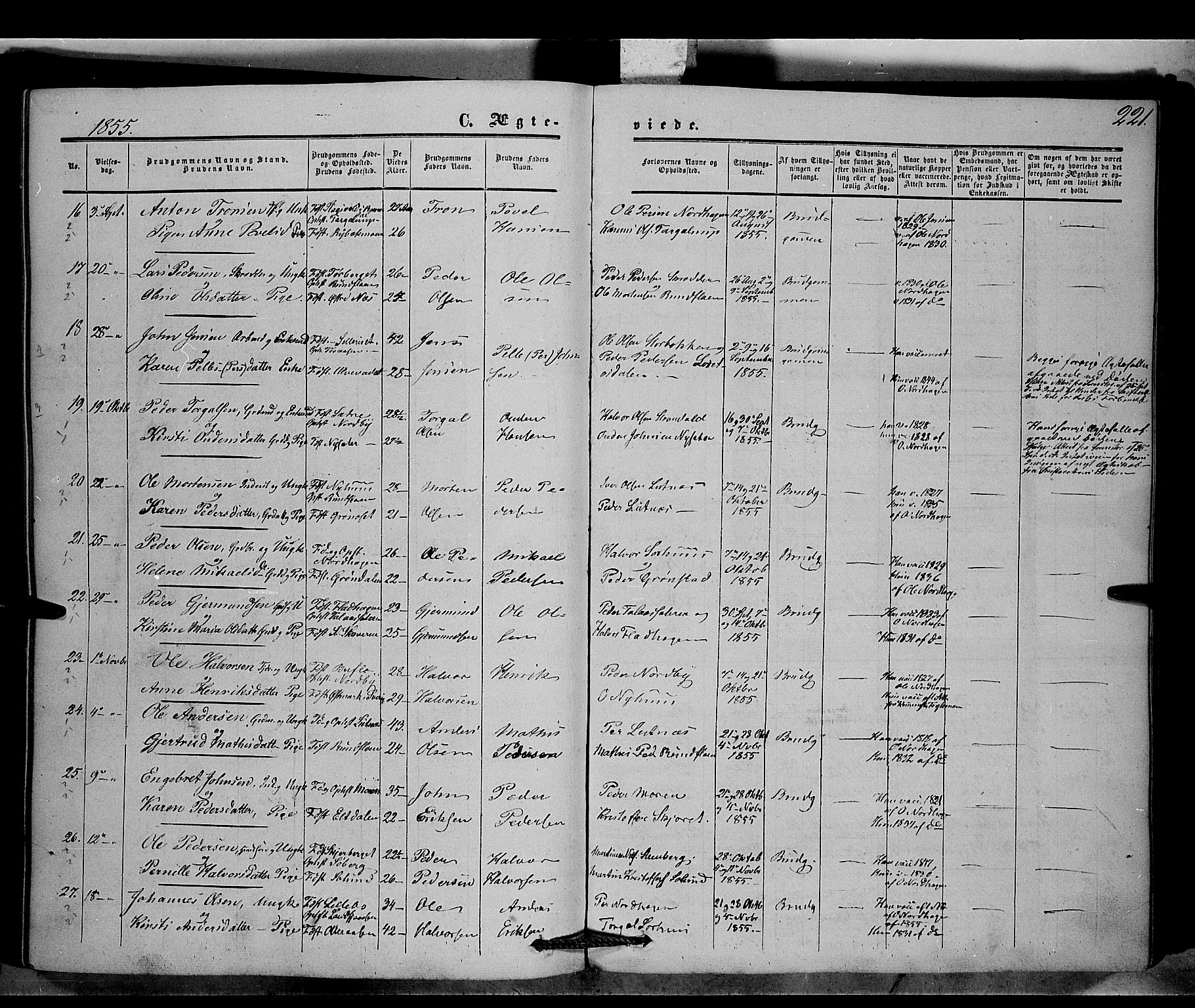 Trysil prestekontor, SAH/PREST-046/H/Ha/Haa/L0005: Ministerialbok nr. 5, 1851-1865, s. 221