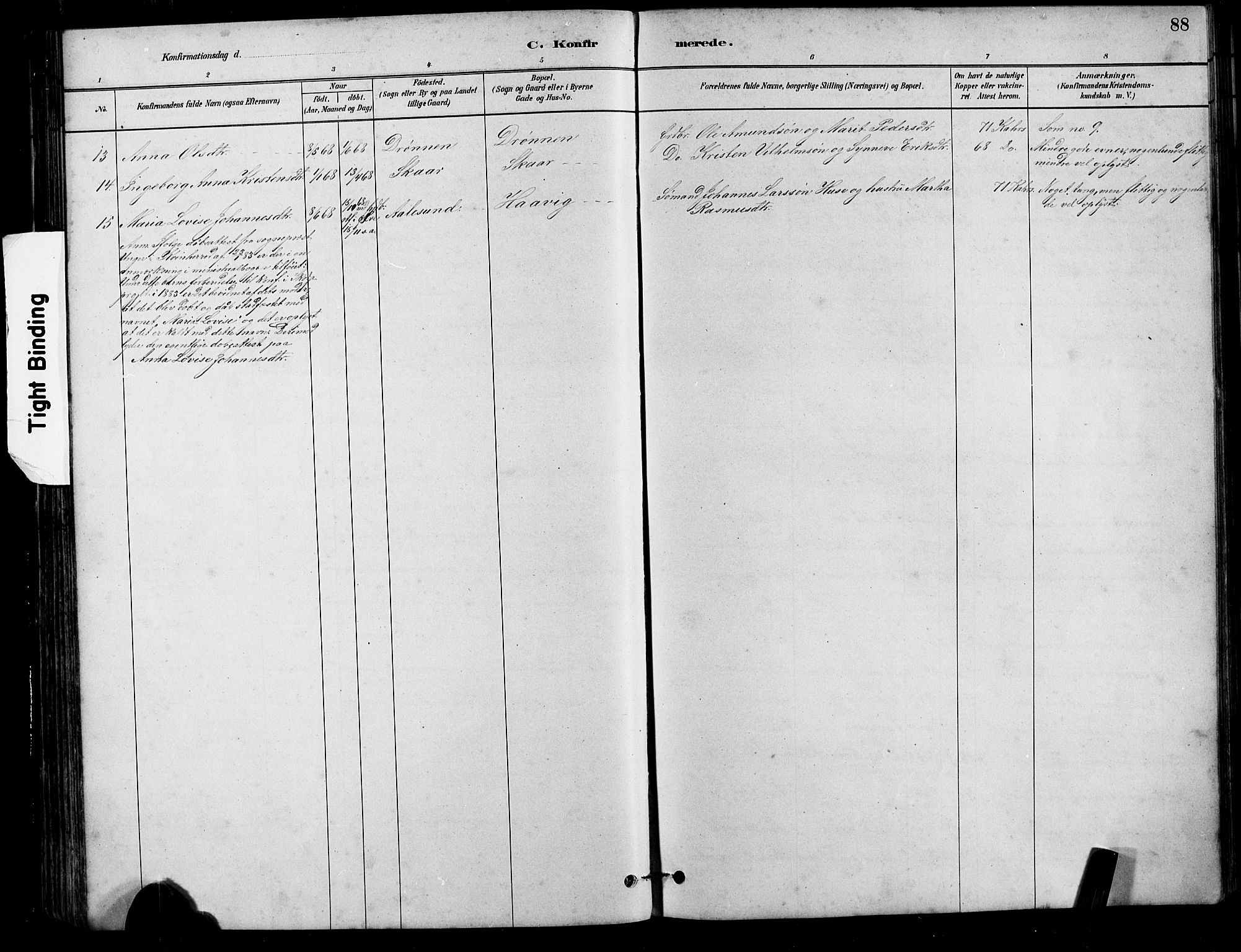 Ministerialprotokoller, klokkerbøker og fødselsregistre - Møre og Romsdal, AV/SAT-A-1454/525/L0376: Klokkerbok nr. 525C02, 1880-1902, s. 88