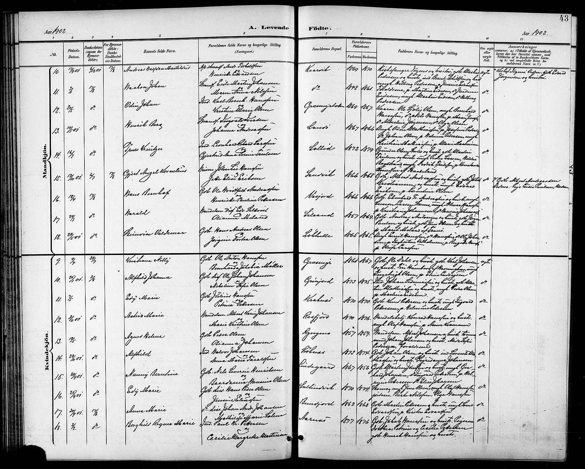 Lenvik sokneprestembete, AV/SATØ-S-1310/H/Ha/Hab/L0008klokker: Klokkerbok nr. 8, 1899-1911, s. 43