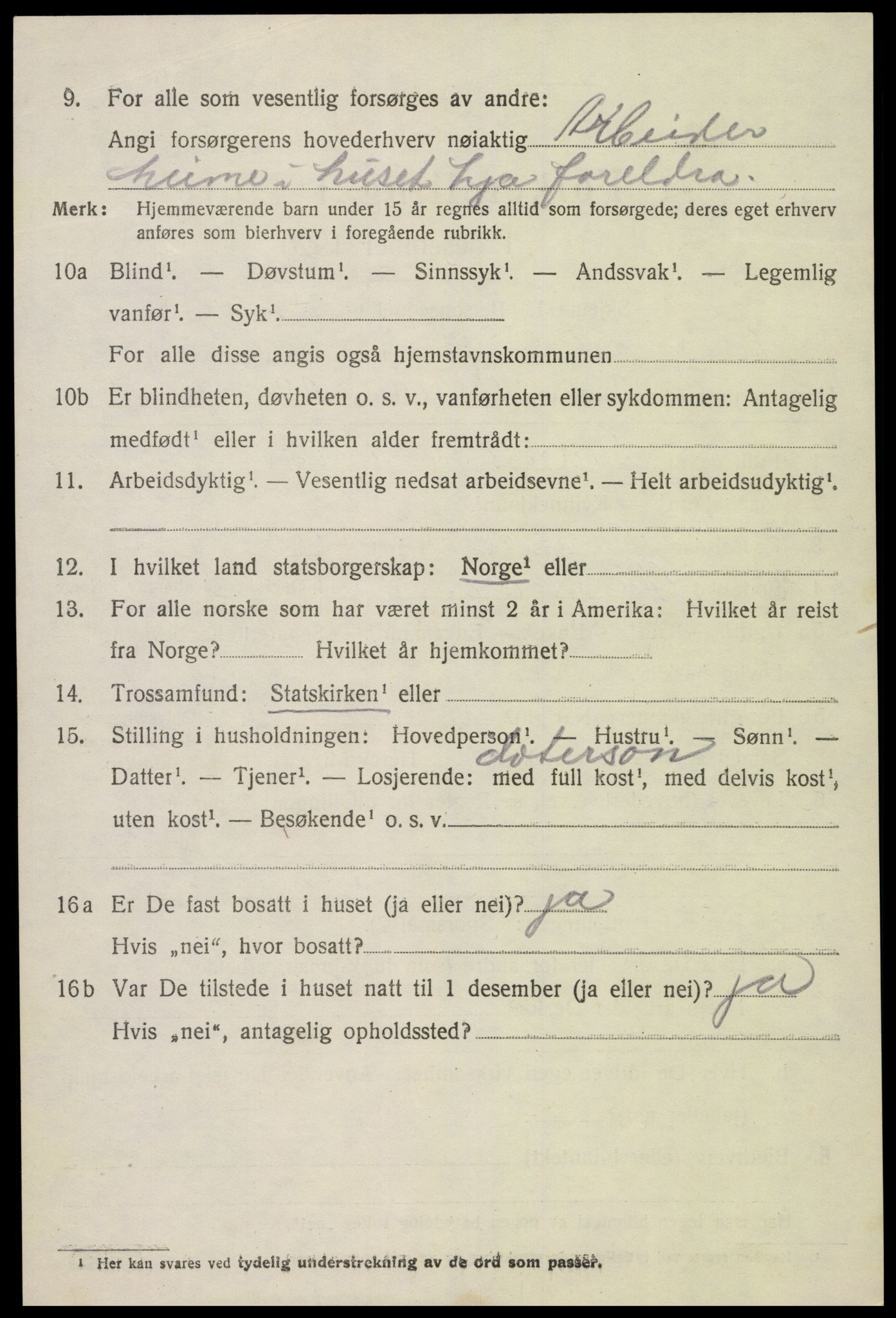 SAK, Folketelling 1920 for 0936 Hornnes herred, 1920, s. 3062