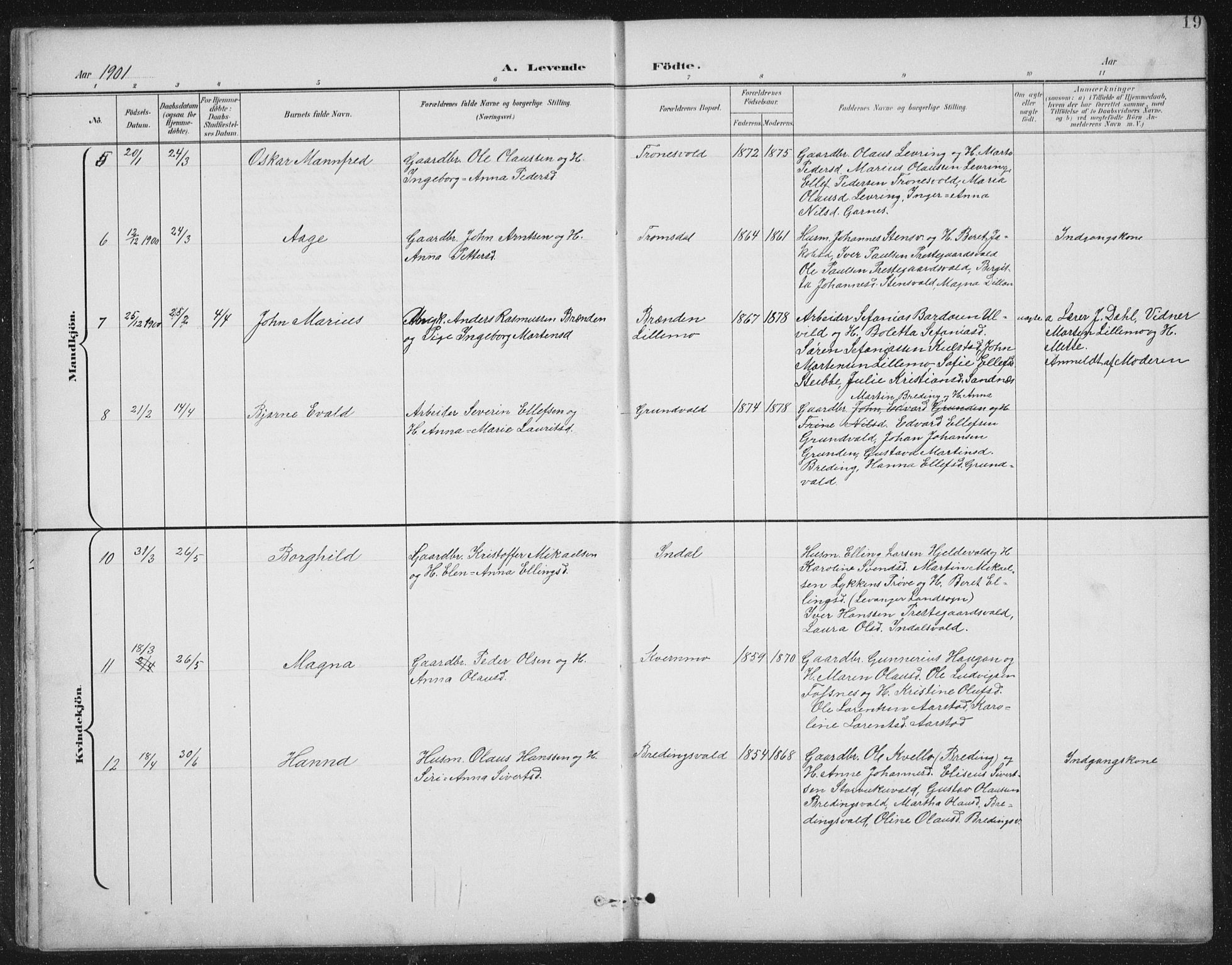 Ministerialprotokoller, klokkerbøker og fødselsregistre - Nord-Trøndelag, AV/SAT-A-1458/724/L0269: Klokkerbok nr. 724C05, 1899-1920, s. 19