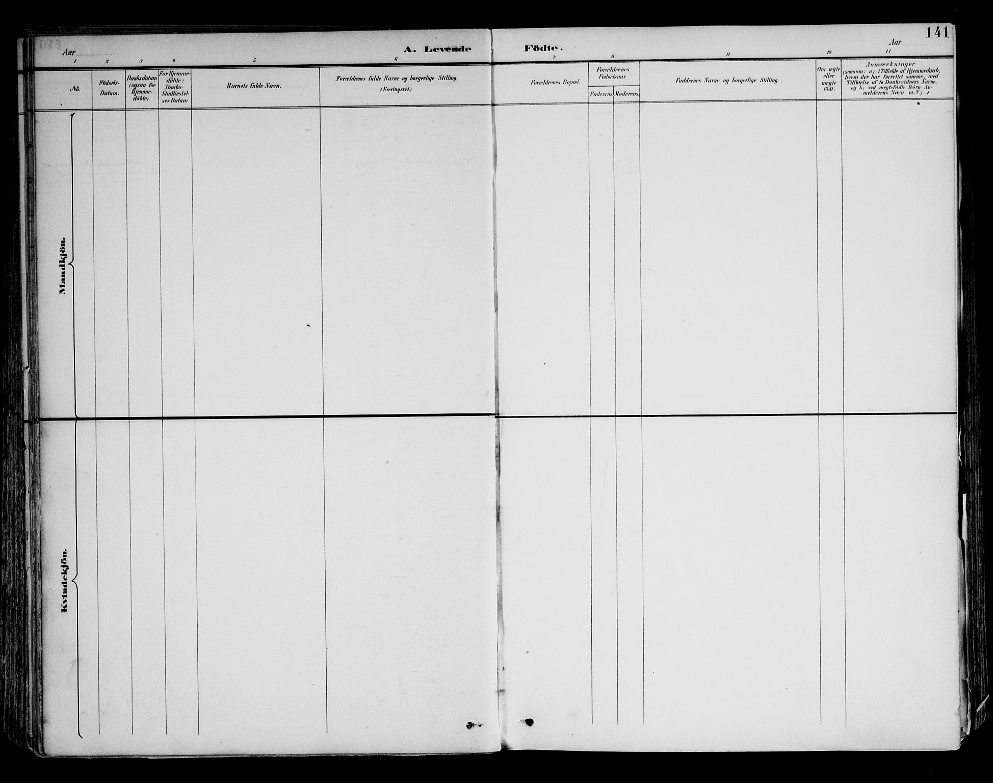 Brandval prestekontor, AV/SAH-PREST-034/H/Ha/Haa/L0003: Ministerialbok nr. 3, 1894-1909, s. 141