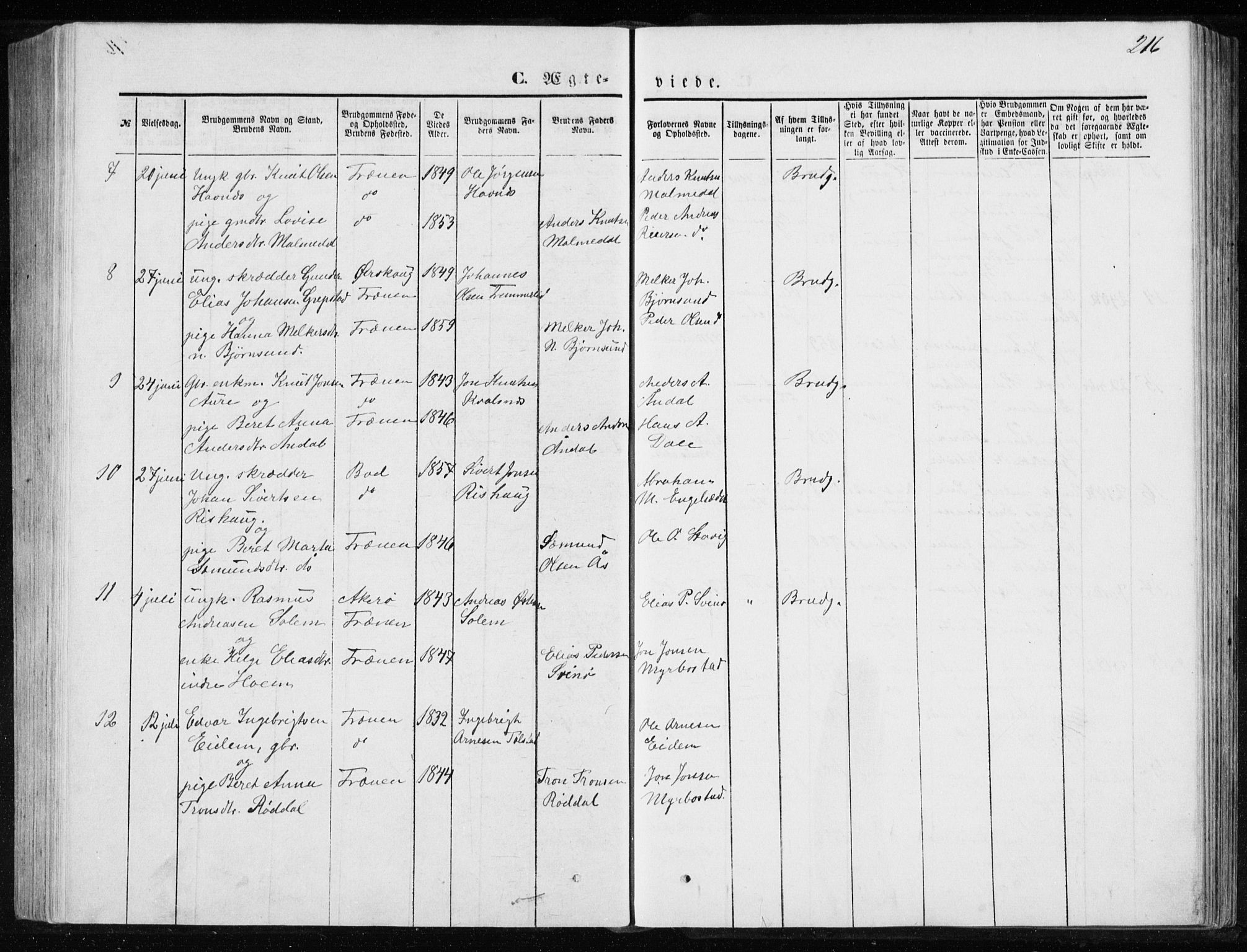 Ministerialprotokoller, klokkerbøker og fødselsregistre - Møre og Romsdal, AV/SAT-A-1454/565/L0754: Klokkerbok nr. 565C03, 1870-1896, s. 216