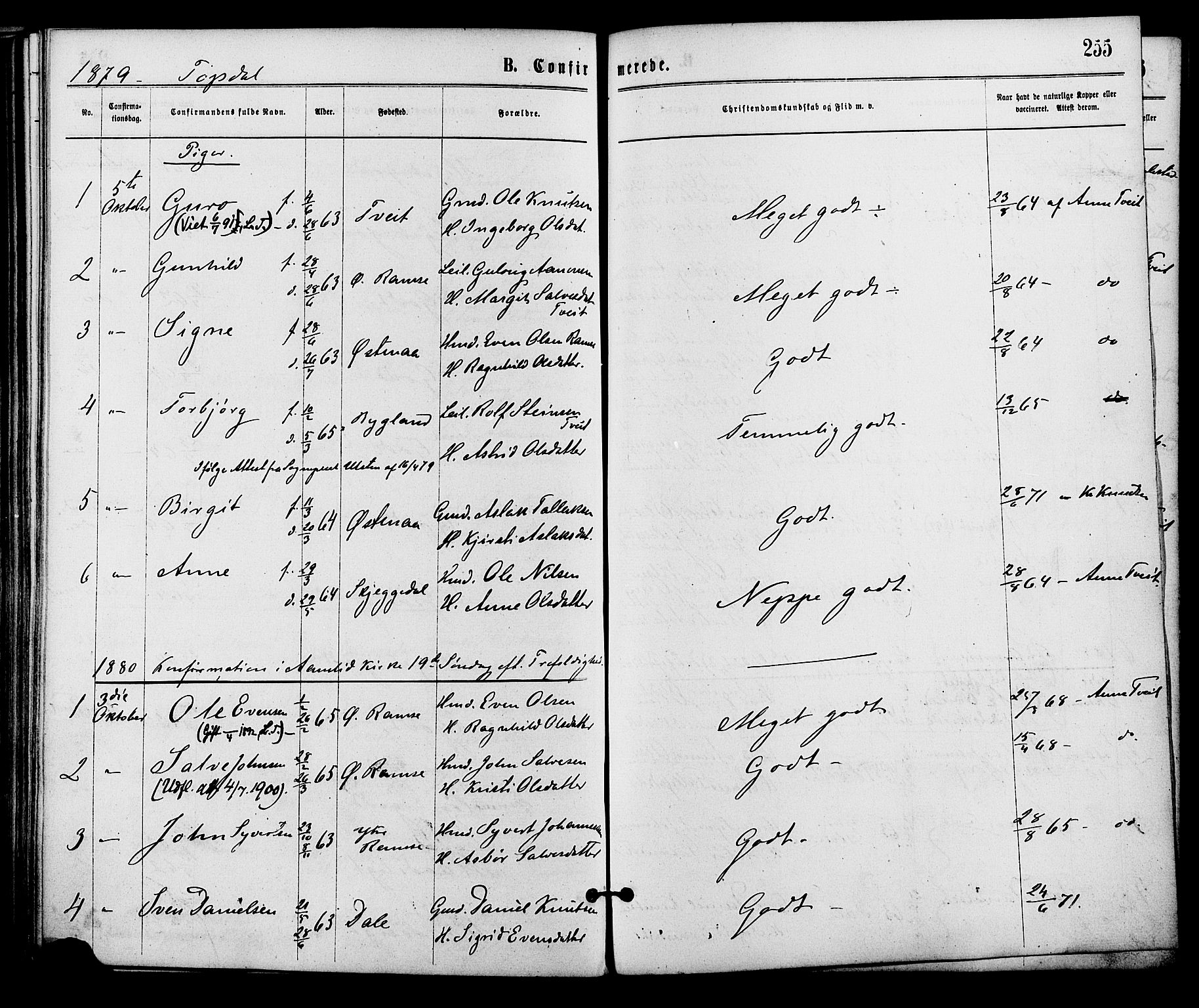 Åmli sokneprestkontor, SAK/1111-0050/F/Fa/Fac/L0009: Ministerialbok nr. A 9 /3, 1869-1884, s. 255