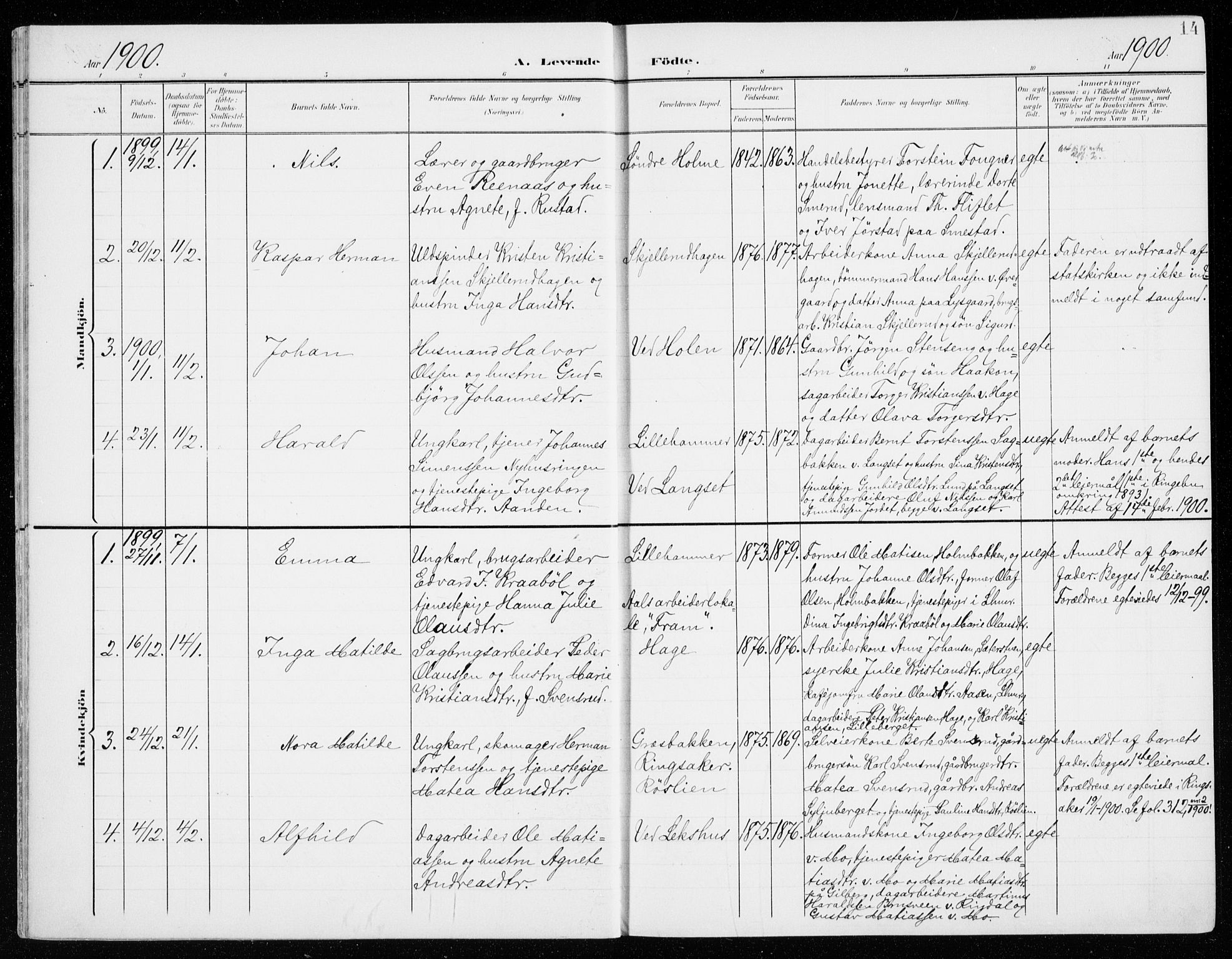 Fåberg prestekontor, AV/SAH-PREST-086/H/Ha/Haa/L0011: Ministerialbok nr. 11, 1899-1913, s. 14