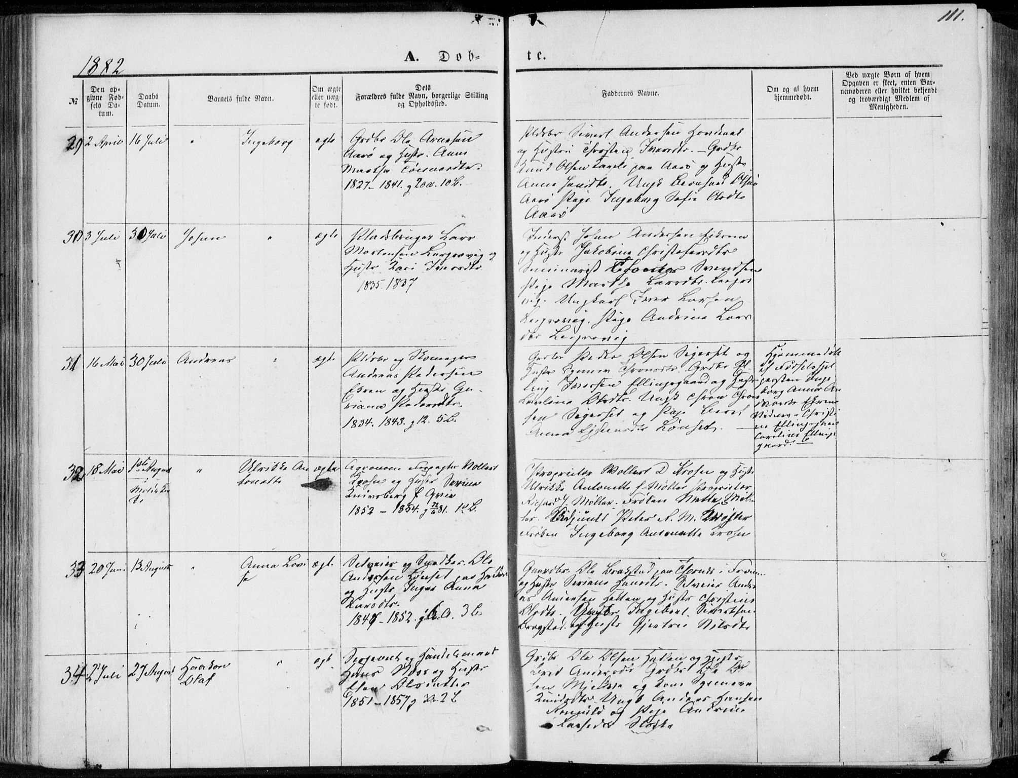 Ministerialprotokoller, klokkerbøker og fødselsregistre - Møre og Romsdal, AV/SAT-A-1454/555/L0655: Ministerialbok nr. 555A05, 1869-1886, s. 111