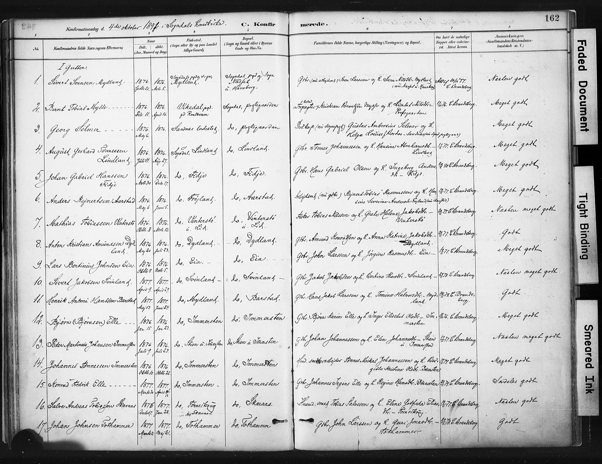 Sokndal sokneprestkontor, AV/SAST-A-101808: Ministerialbok nr. A 11.1, 1887-1905, s. 162