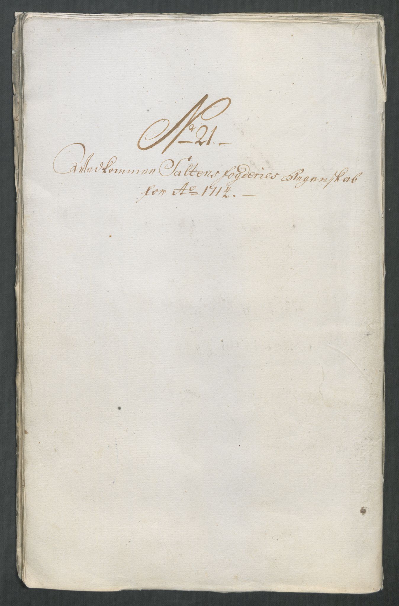 Rentekammeret inntil 1814, Reviderte regnskaper, Fogderegnskap, AV/RA-EA-4092/R66/L4584: Fogderegnskap Salten, 1714, s. 191